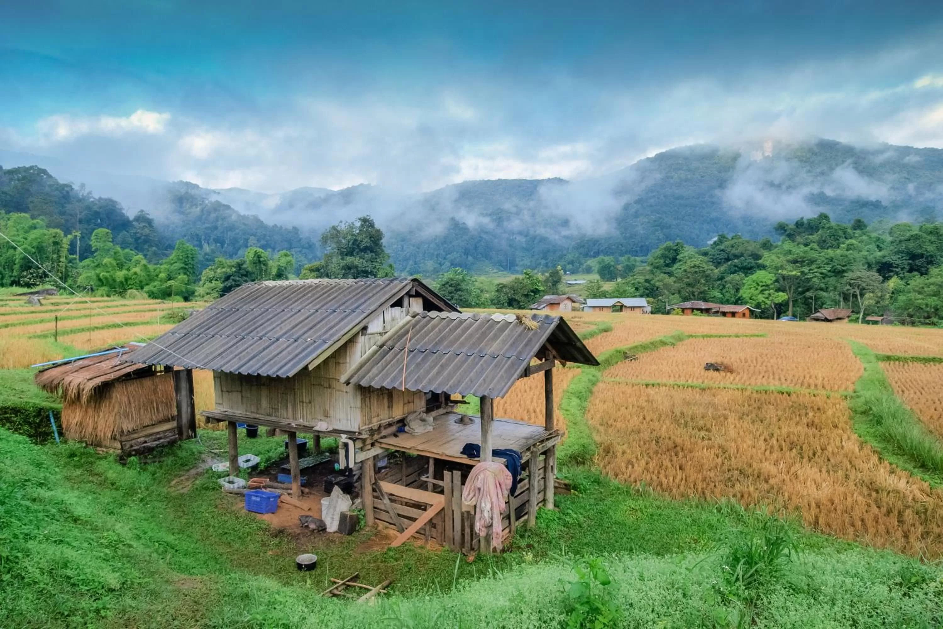 Neighbourhood in Pura Vida Pai Resort