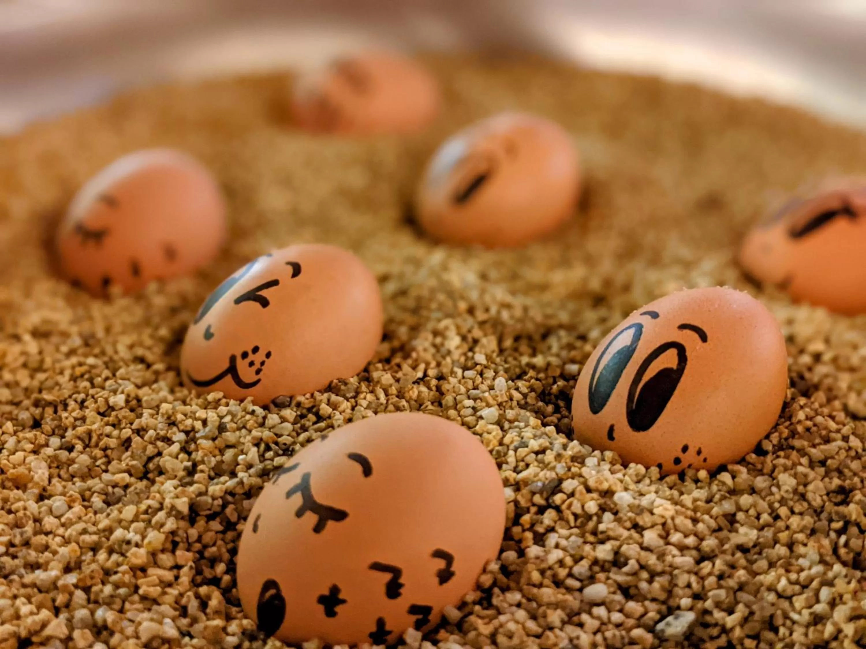 Breakfast in Hotel Brauerei Gasthof Höhn