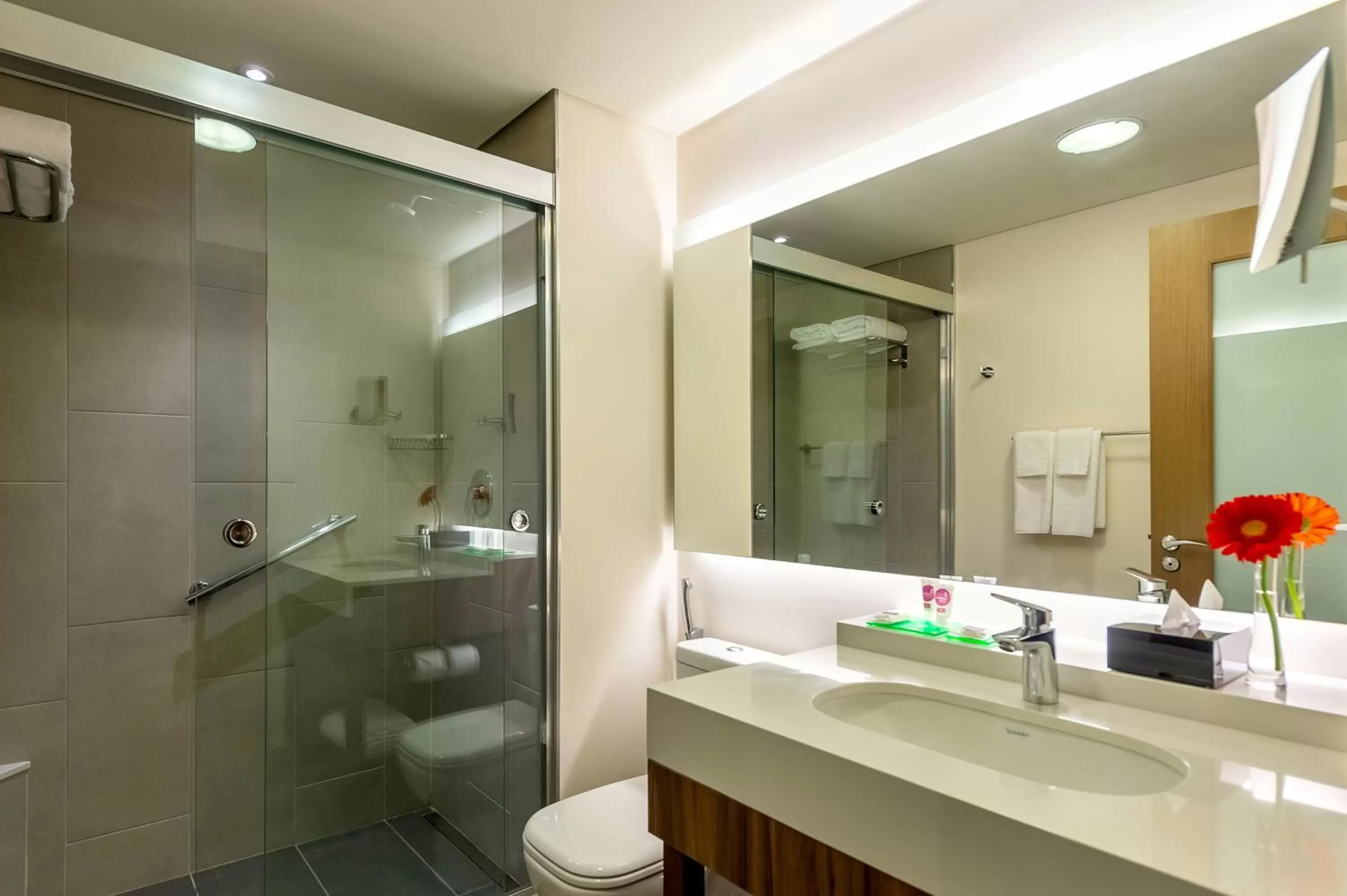 Bathroom in Hyatt Place Macae