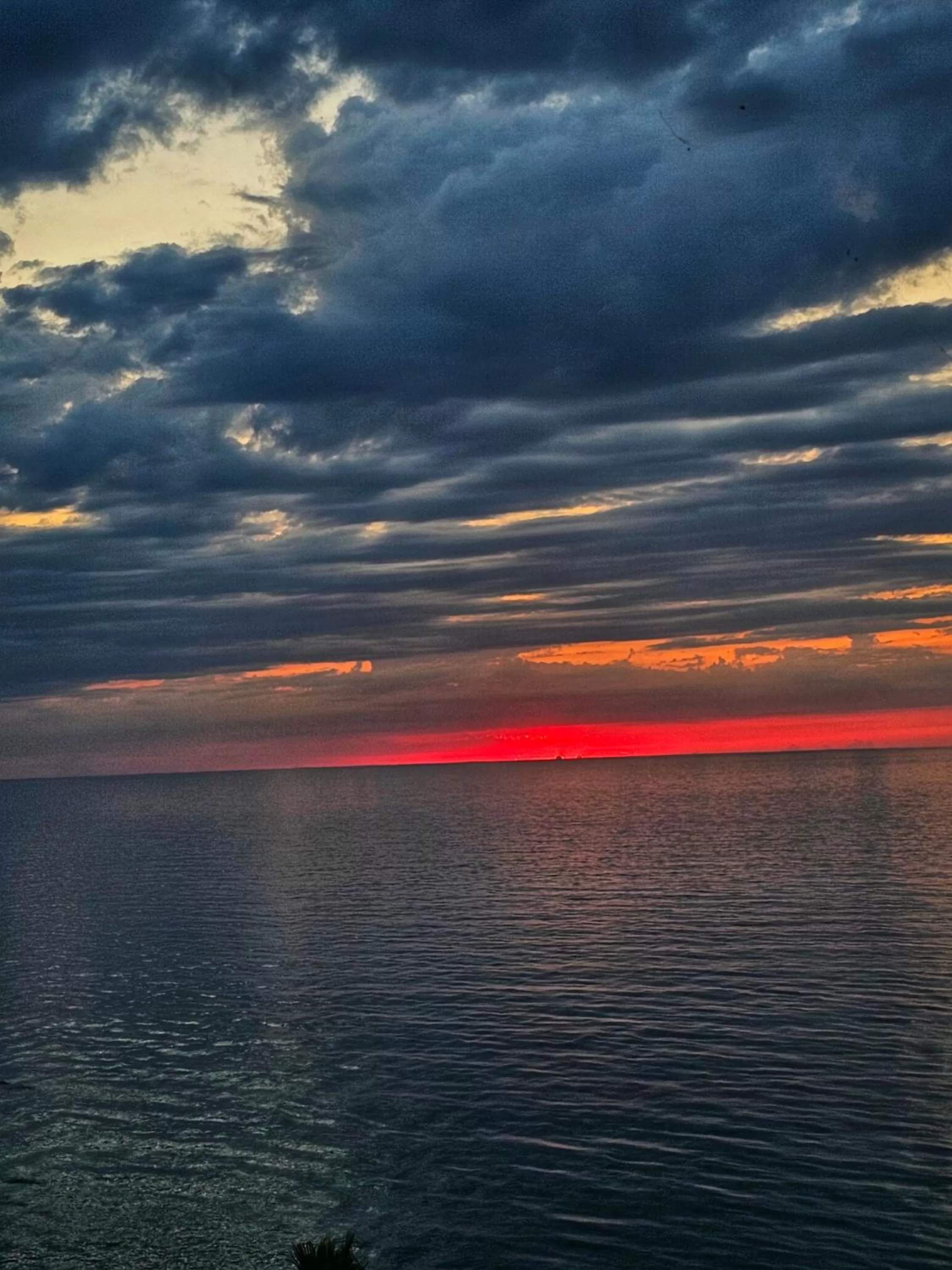 View (from property/room), Sunrise/Sunset in Batumi Palm Hotel