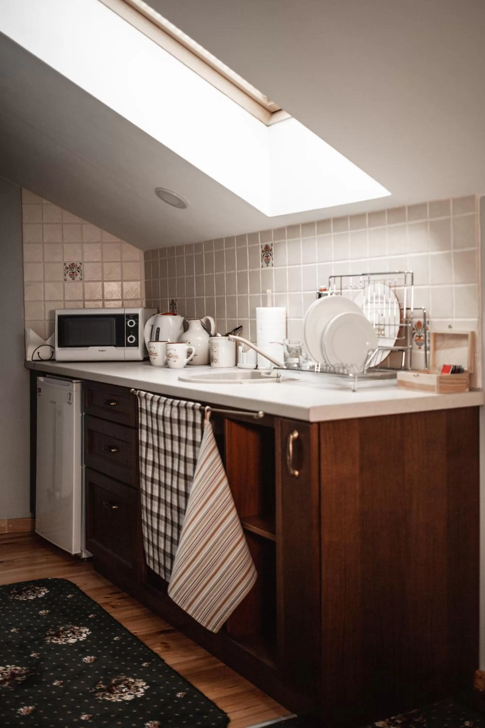 Coffee/tea facilities, Kitchen/Kitchenette in Ekaterinoslav