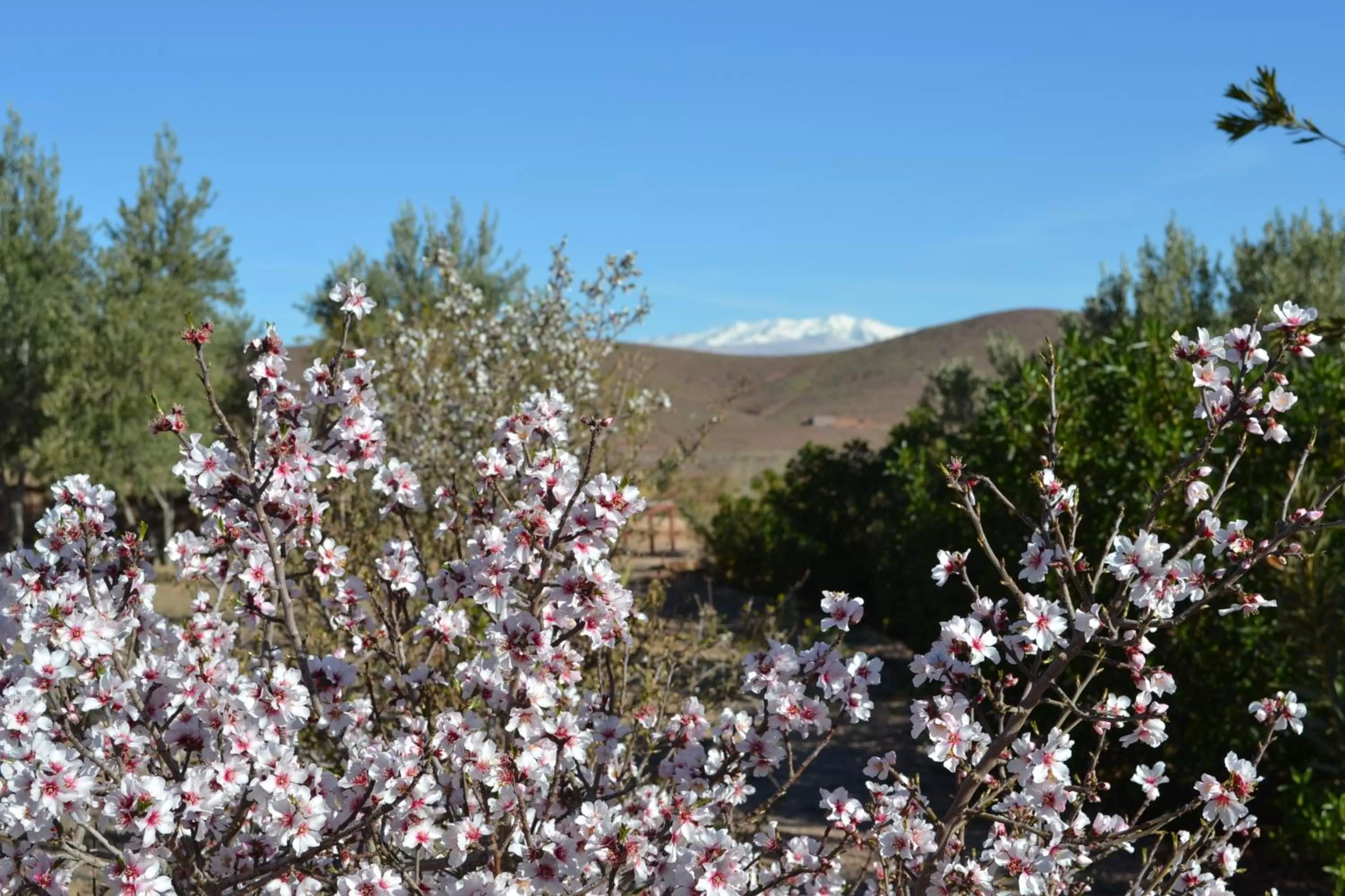 Mountain view in Kasbah Zitoune