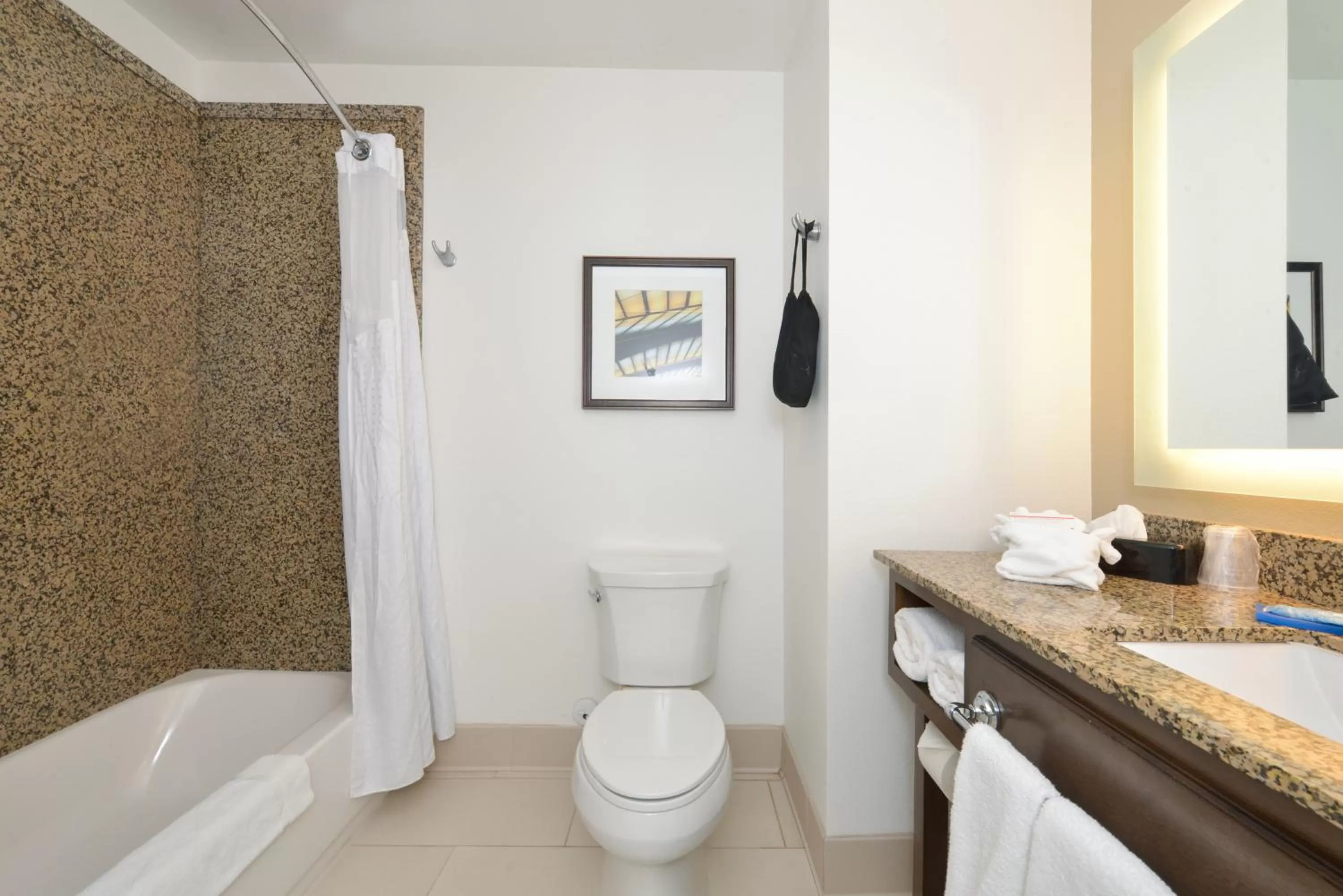 Bathroom in Holiday Inn Express Pocatello by IHG