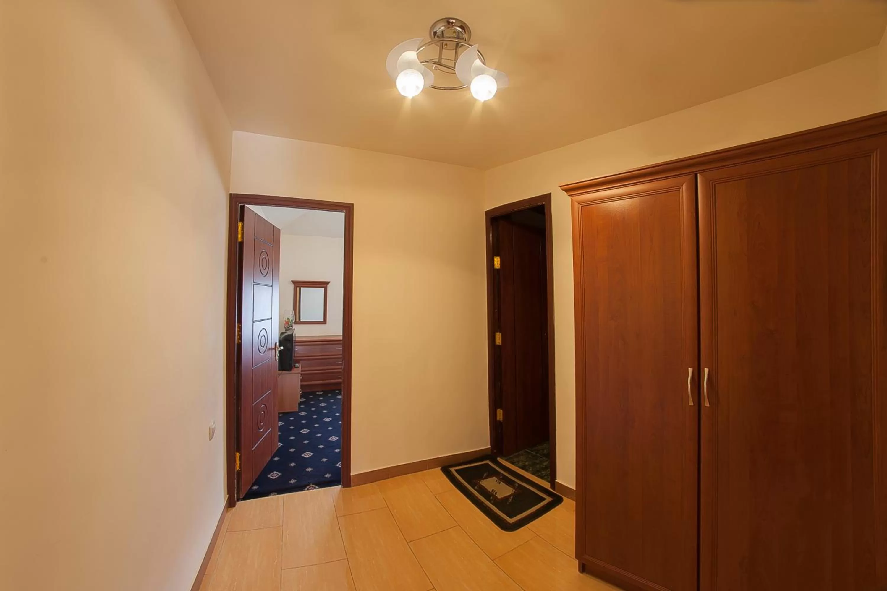 TV/Entertainment Center in Jermuk Ani Hotel