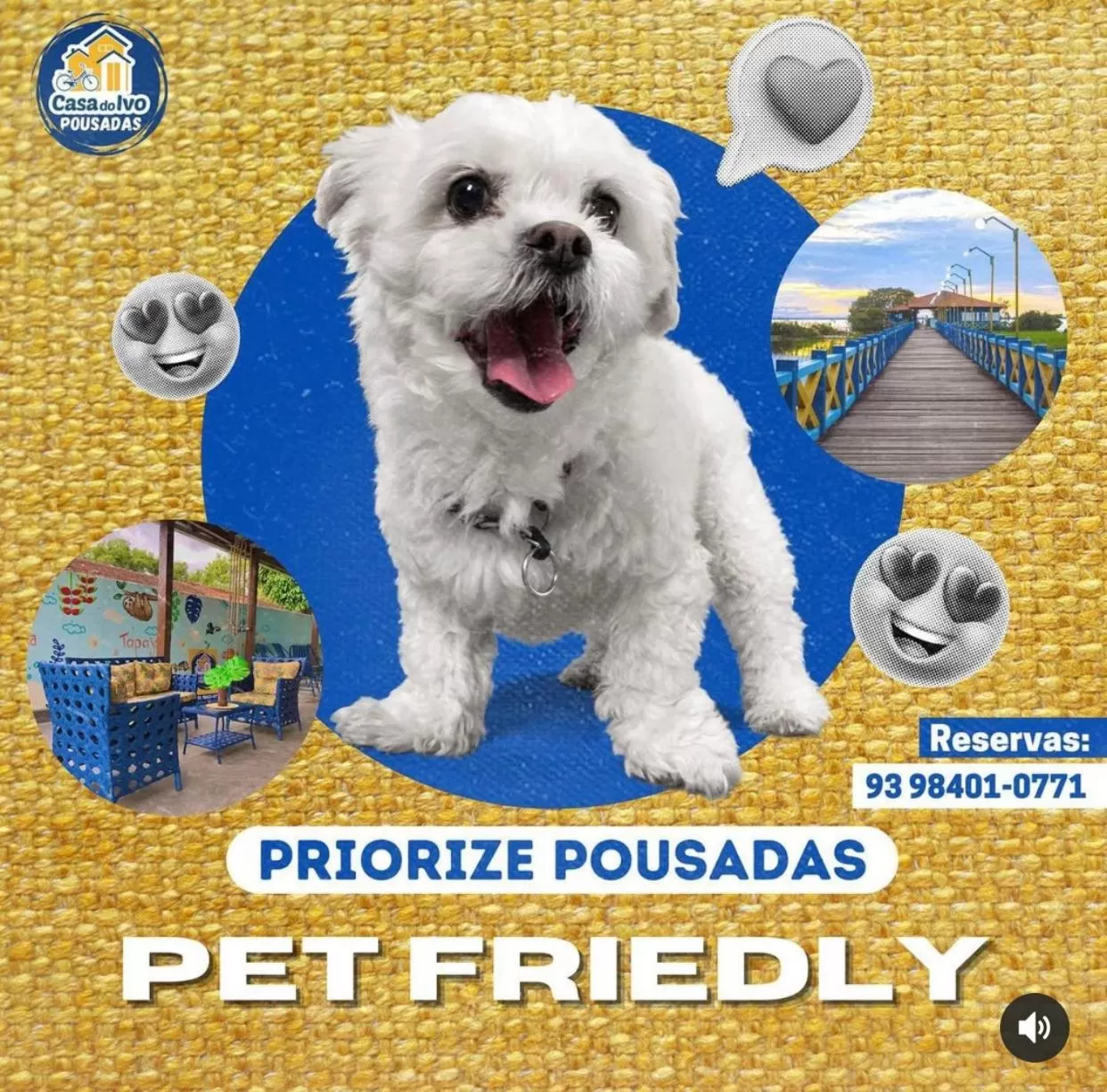 Pets in Pousada Casa do Ivo Santarém