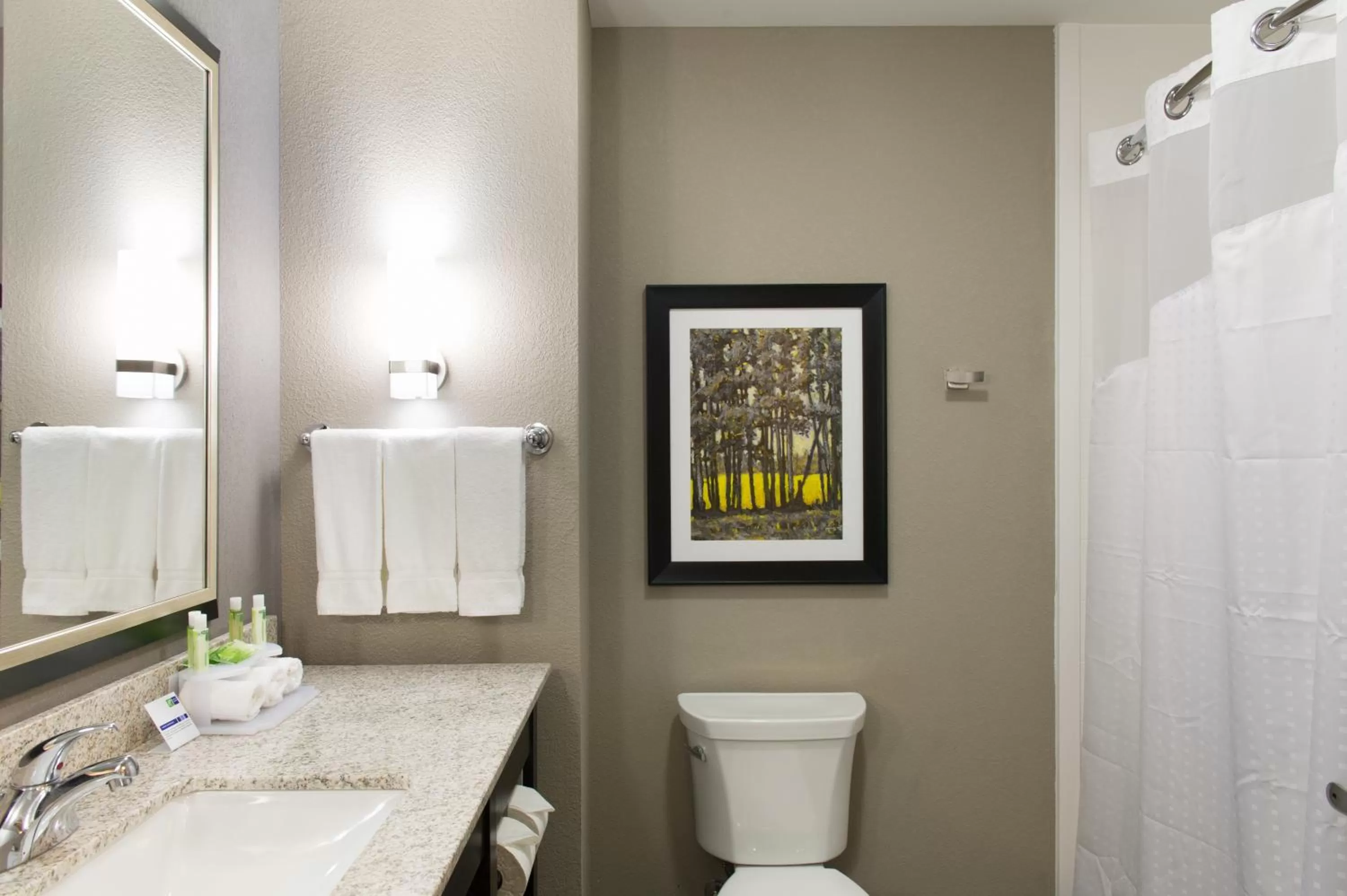 Bathroom in Holiday Inn Express and Suites Madison Central by IHG