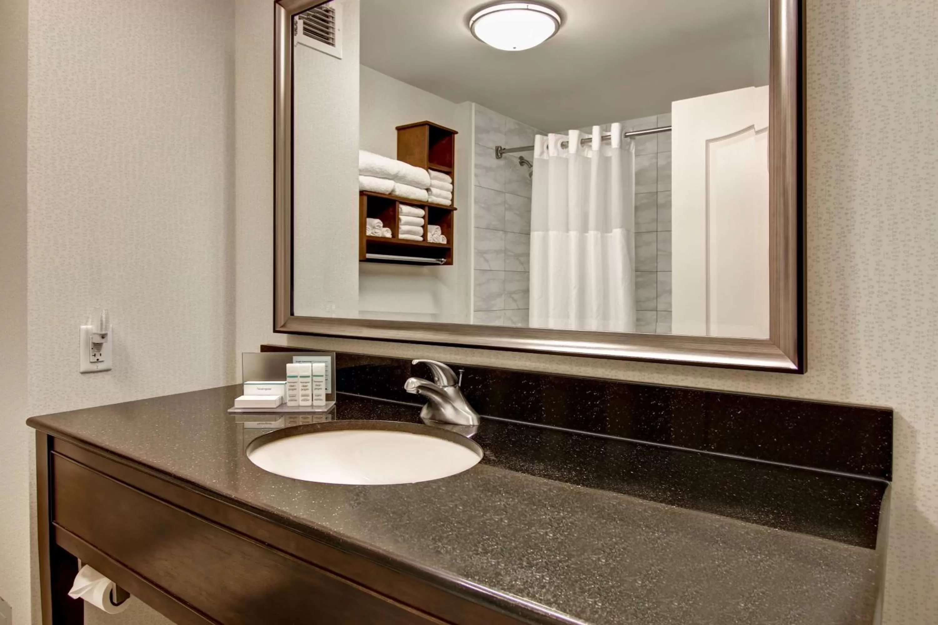 Bathroom in Hampton Inn by Hilton Toronto Airport Corporate Centre