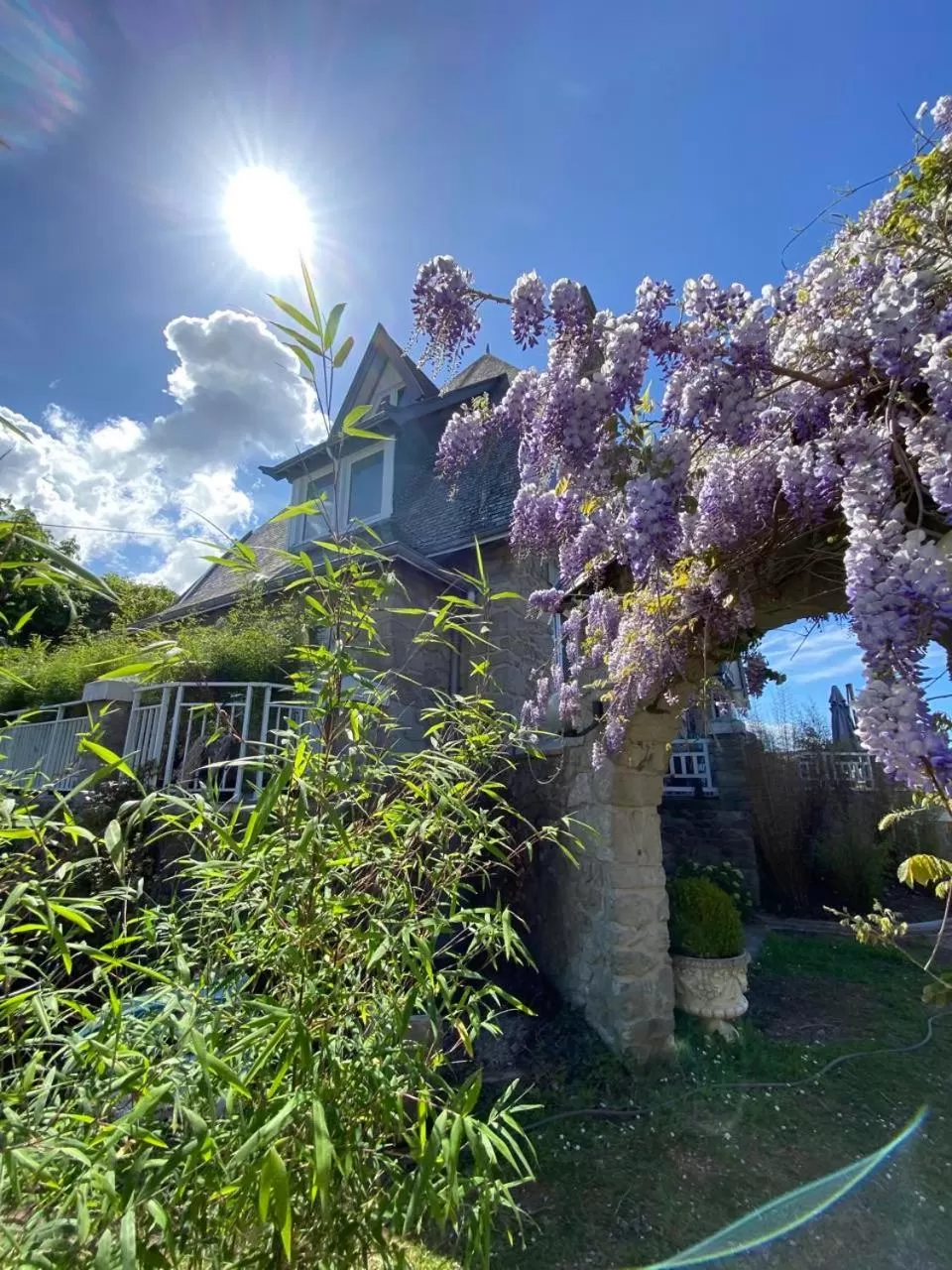 Garden in Villa Fresquet