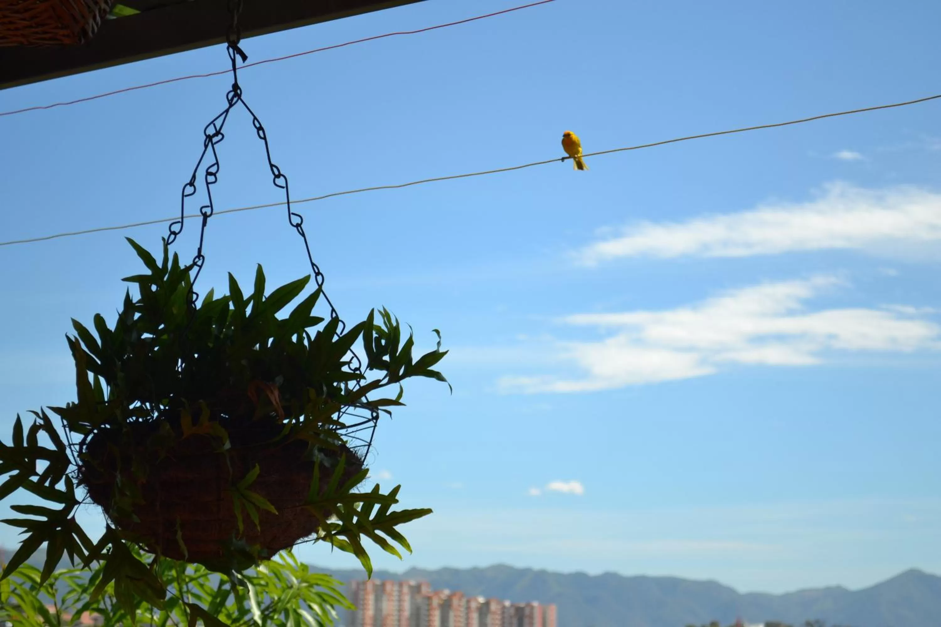 Mirador de San Jorge