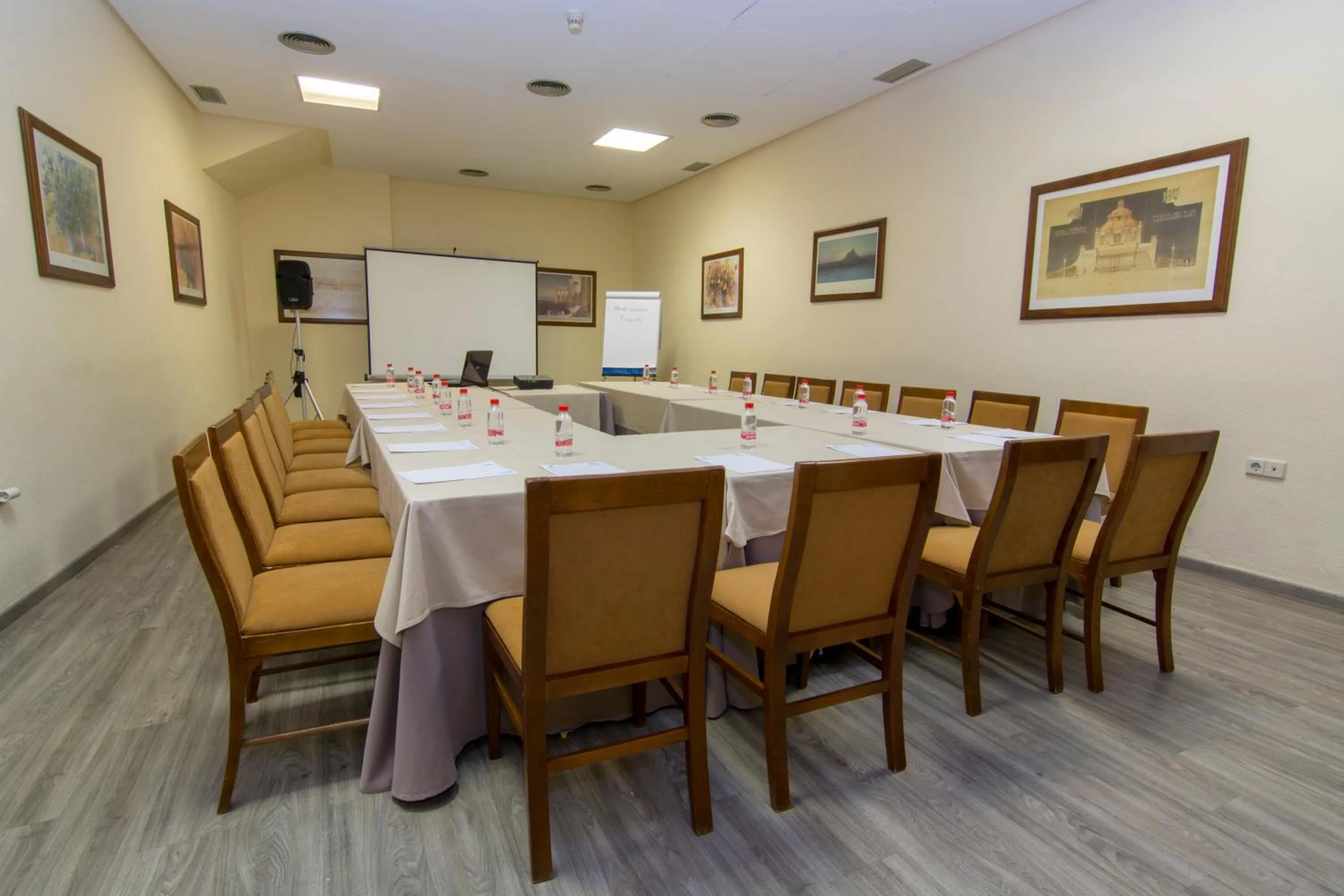 Business facilities in Hotel Europa