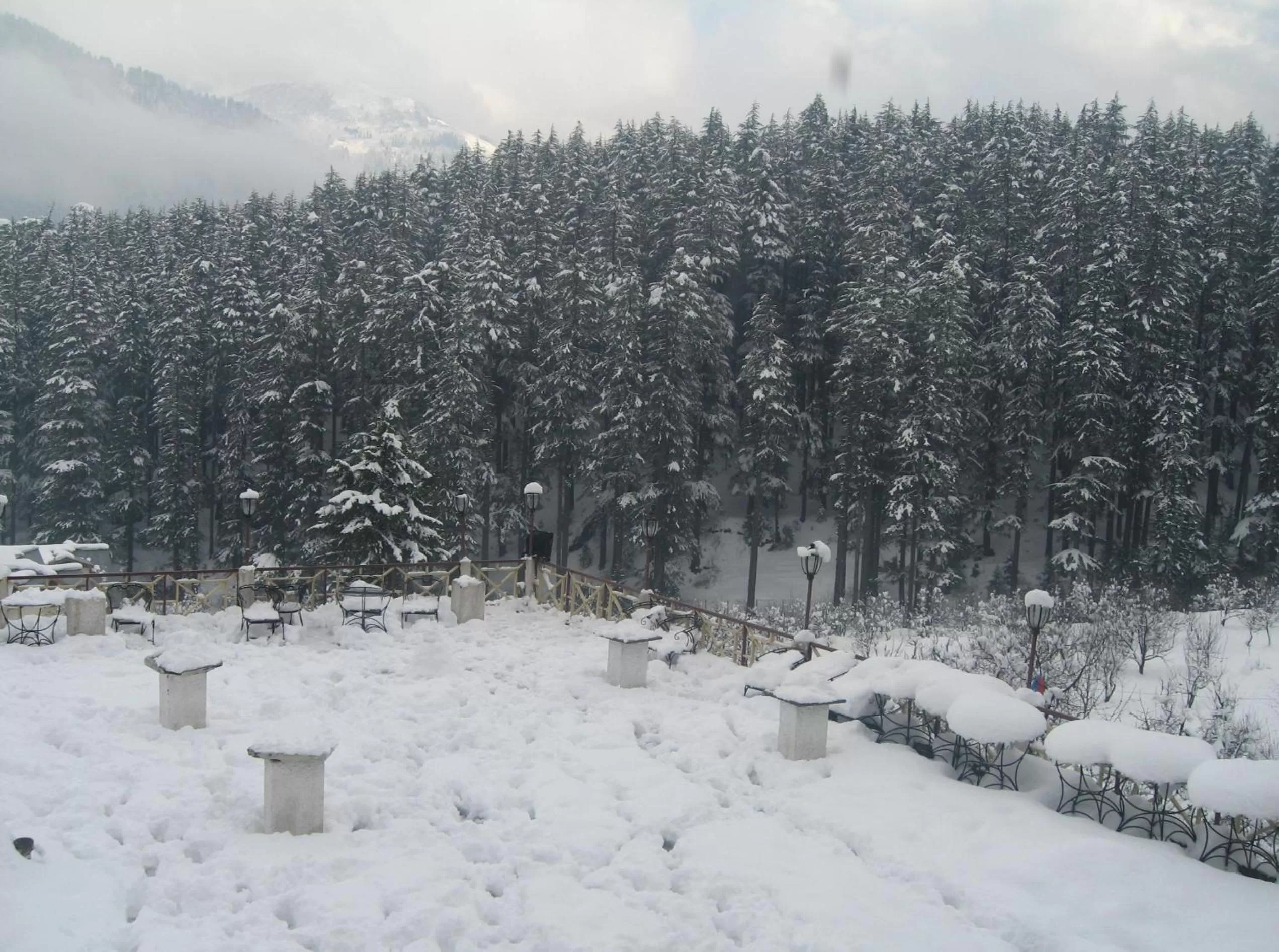 Natural landscape, Winter in Snow Valley Resorts & Spa Manali