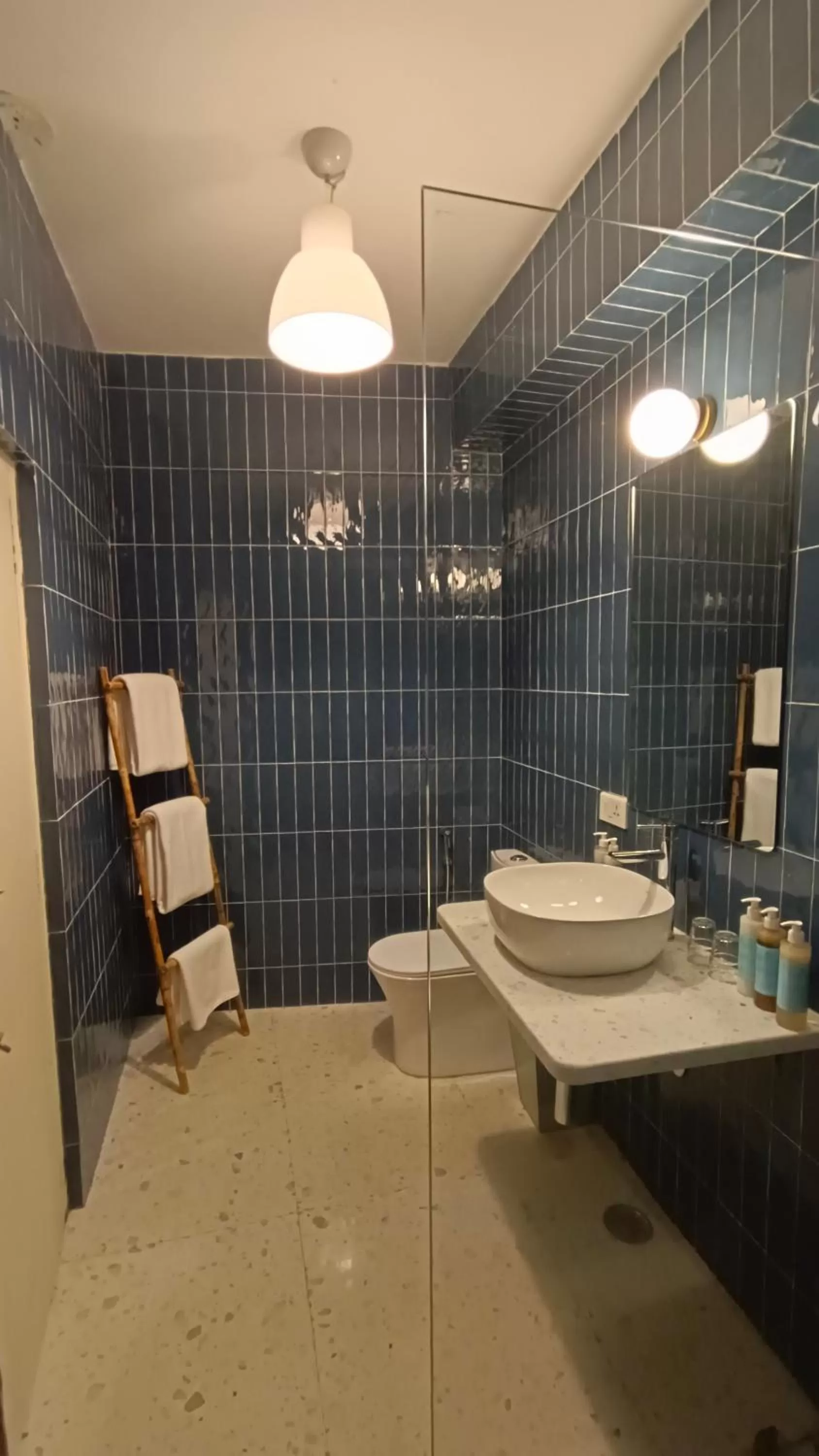 Toilet, Bathroom in The Stepwell Hotel