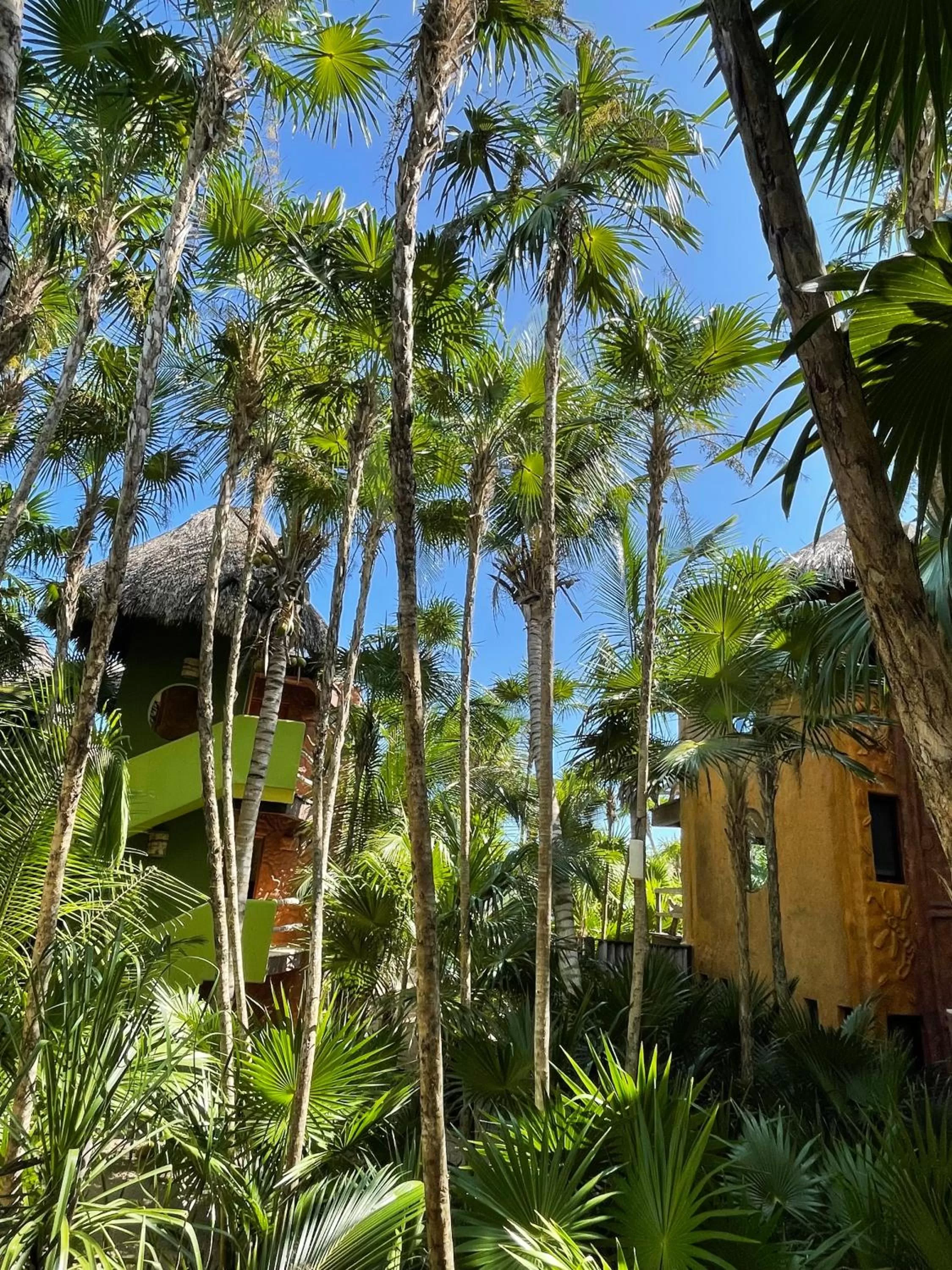Property building in Sueños Tulum