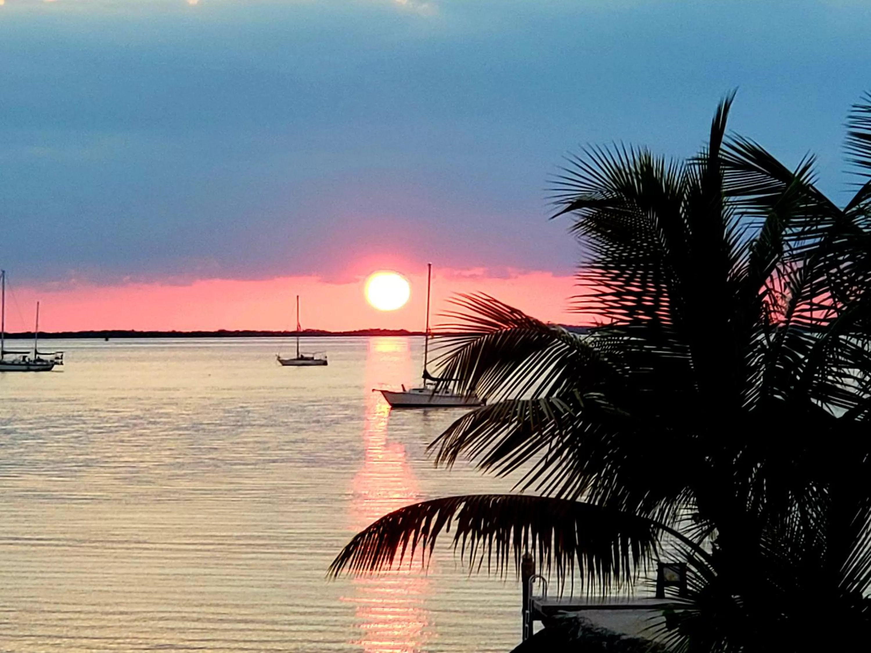 Beach in Bayside Inn Key Largo