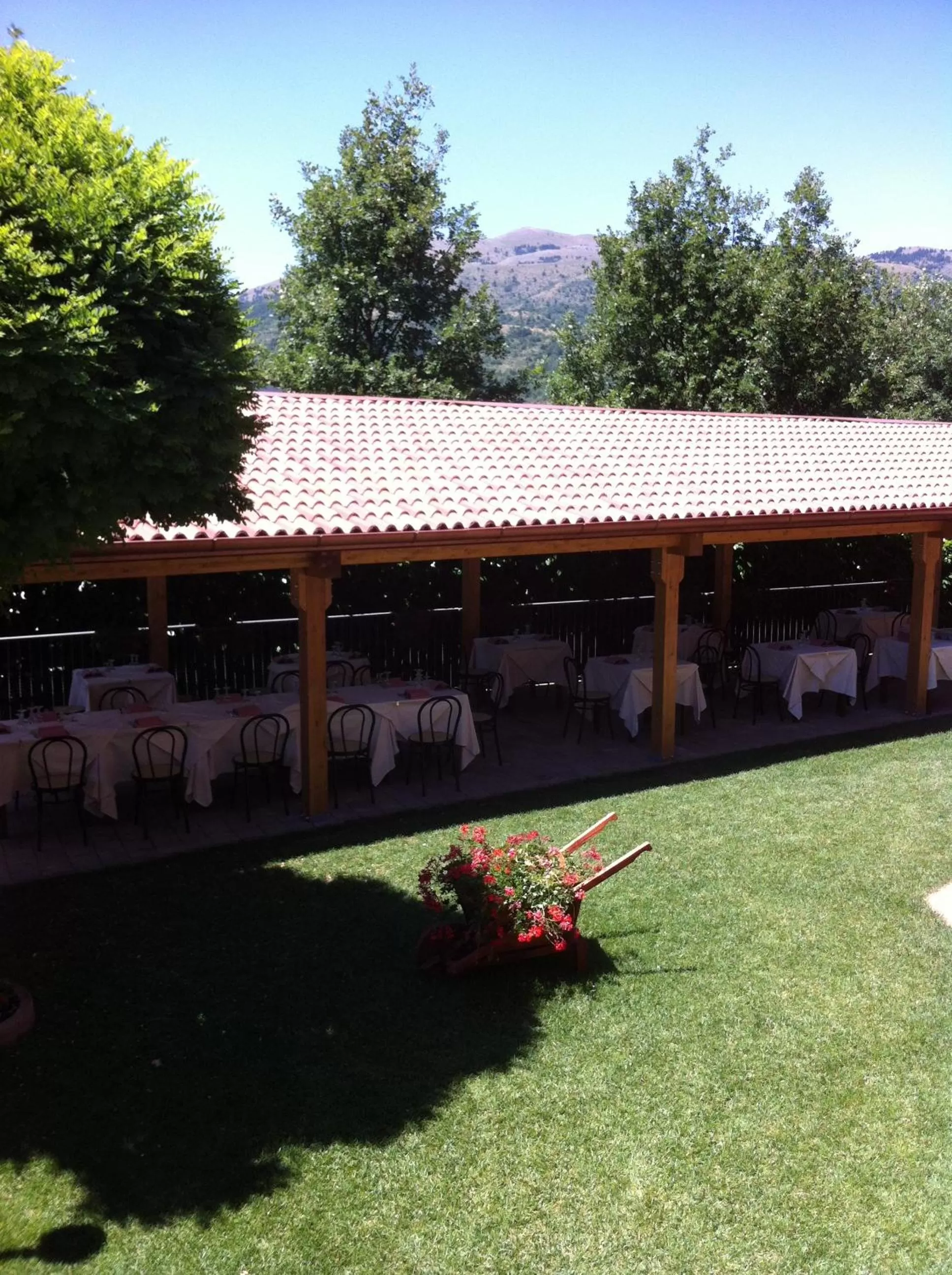 Garden in Hotel Giampy