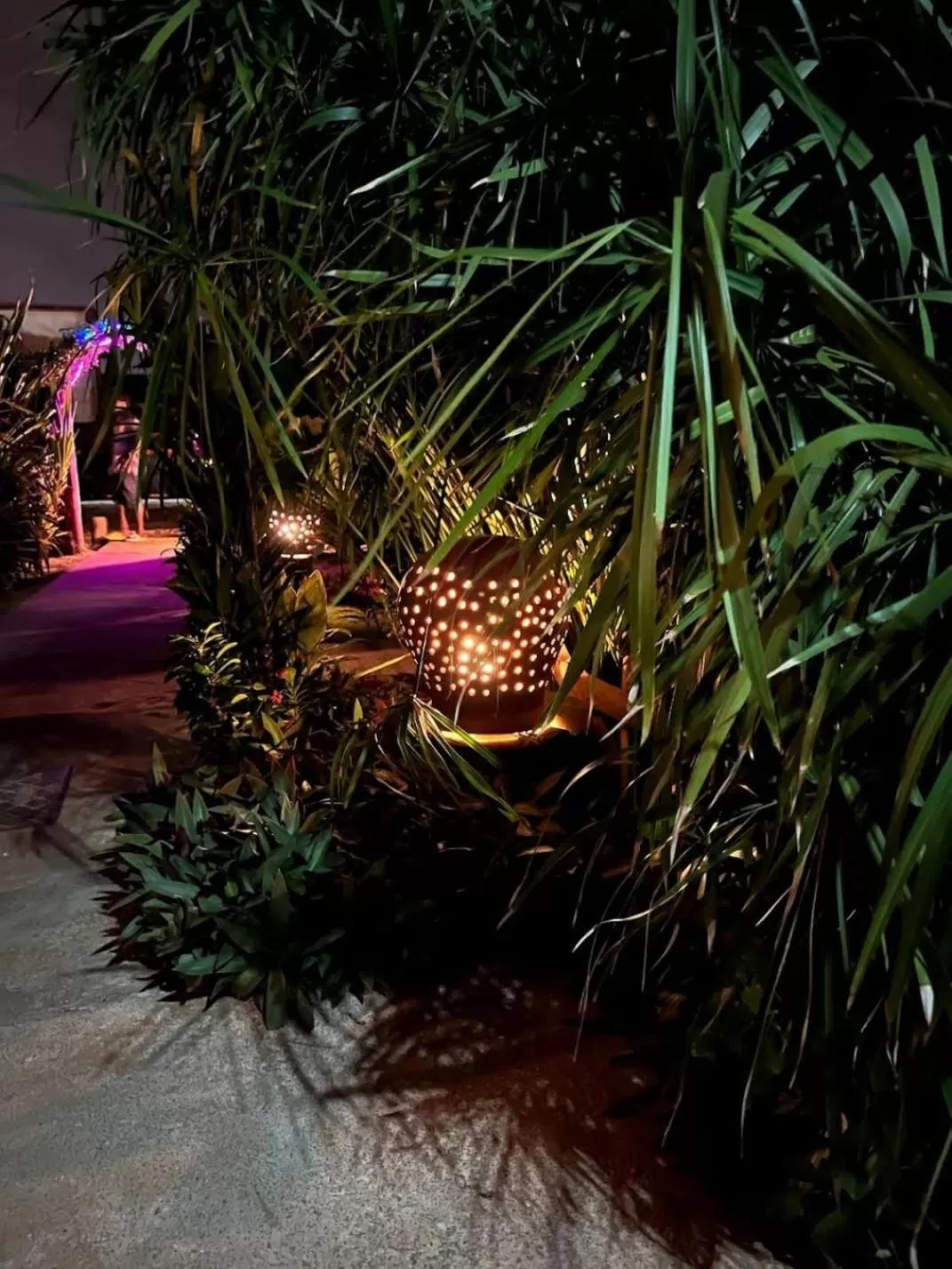 Night in CASE de ROBINSON