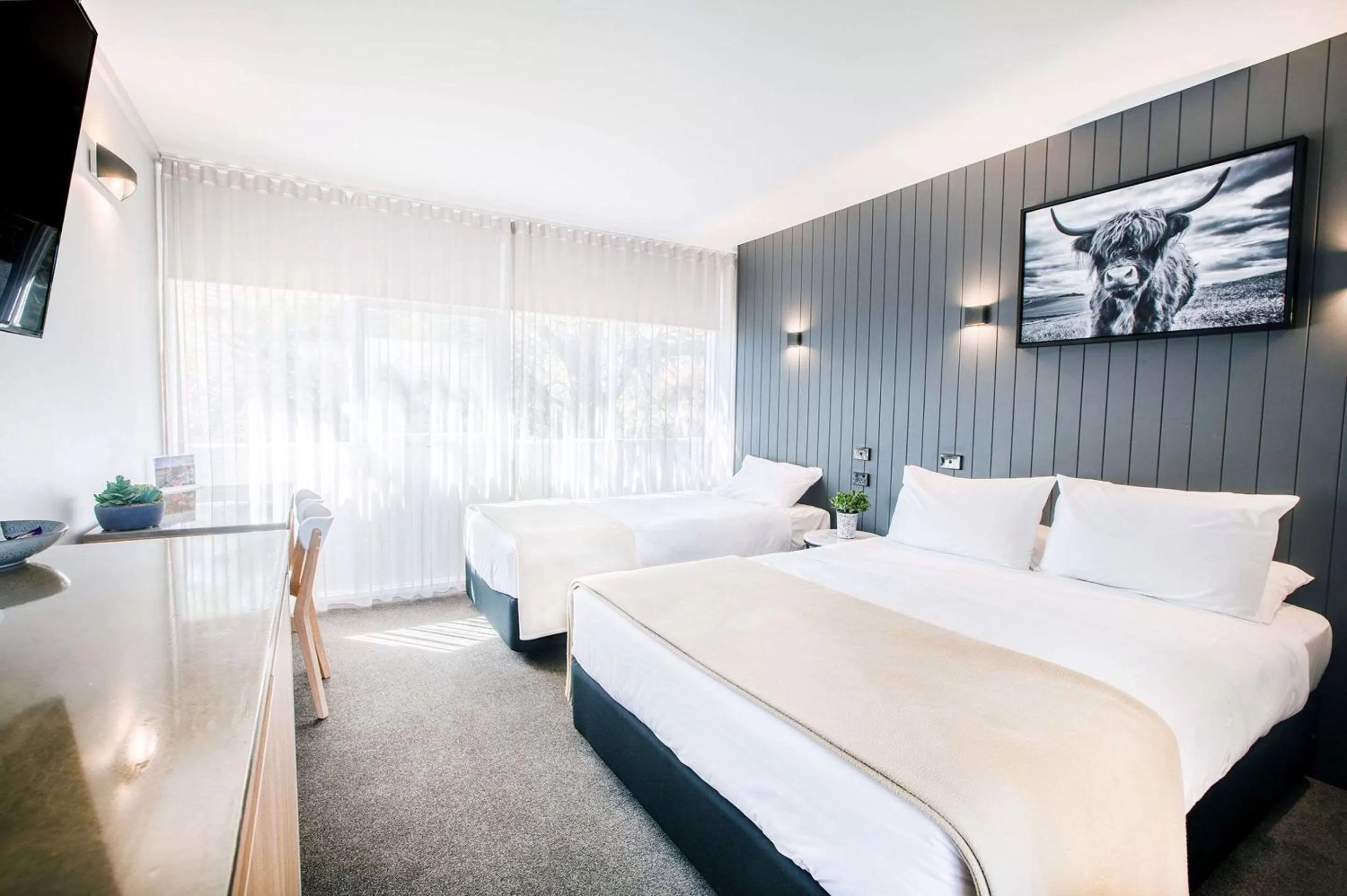 Photo of the whole room, Bed in City Centre Motel Armidale