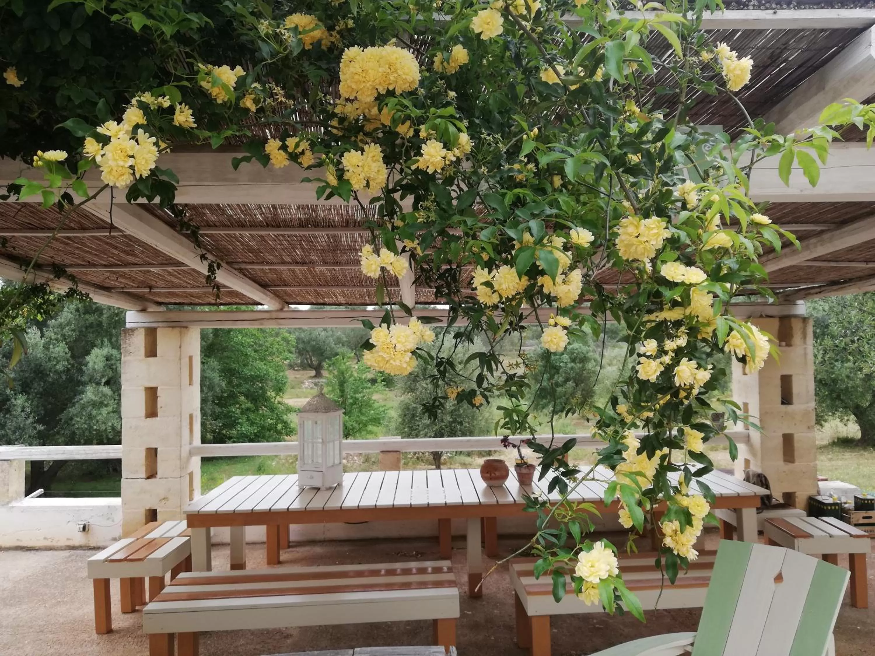 Patio in B&B Giovannarolla Green House