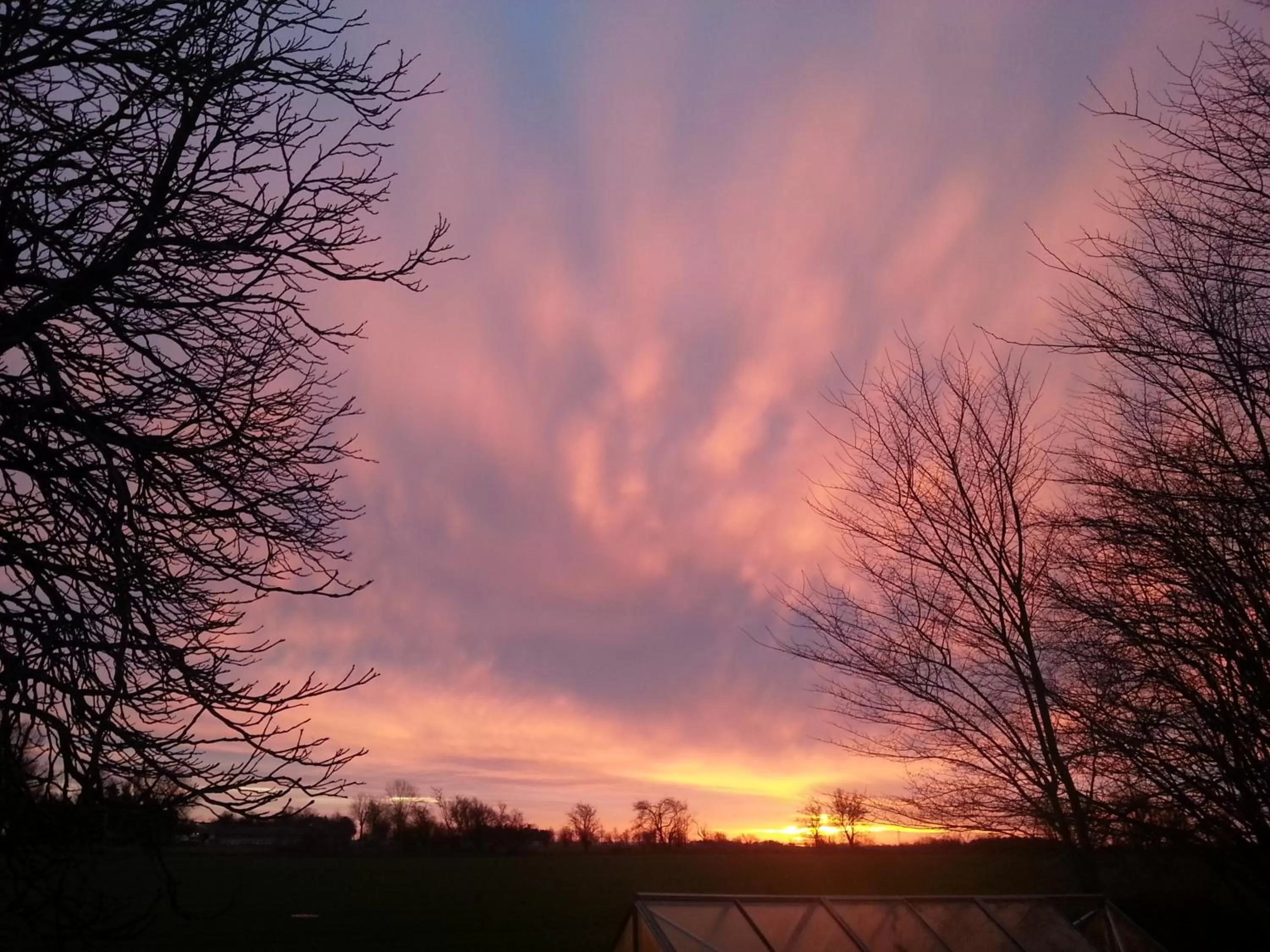 Natural landscape in Roskilde B&B
