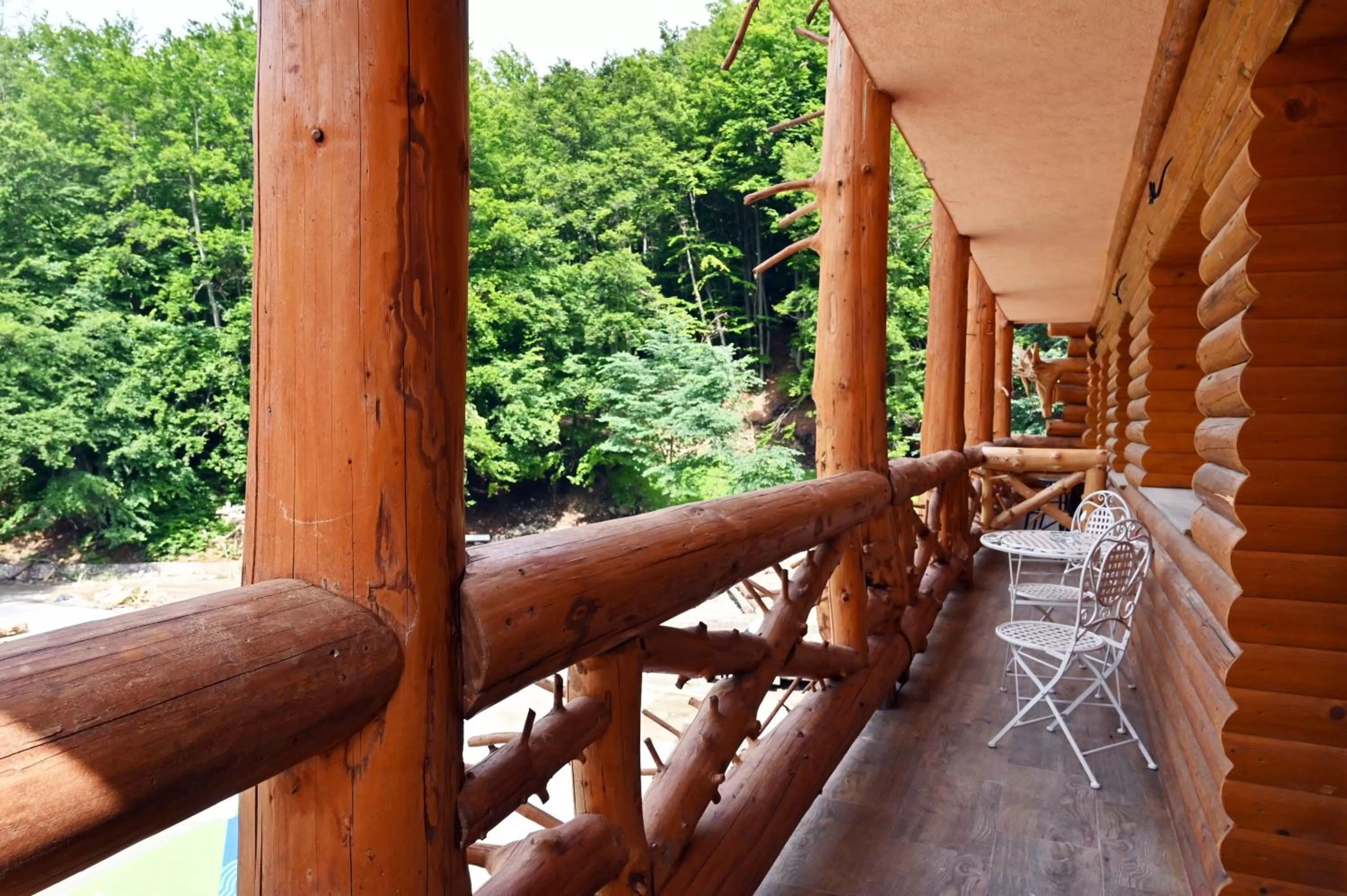 Spring in Conacul Radacinilor