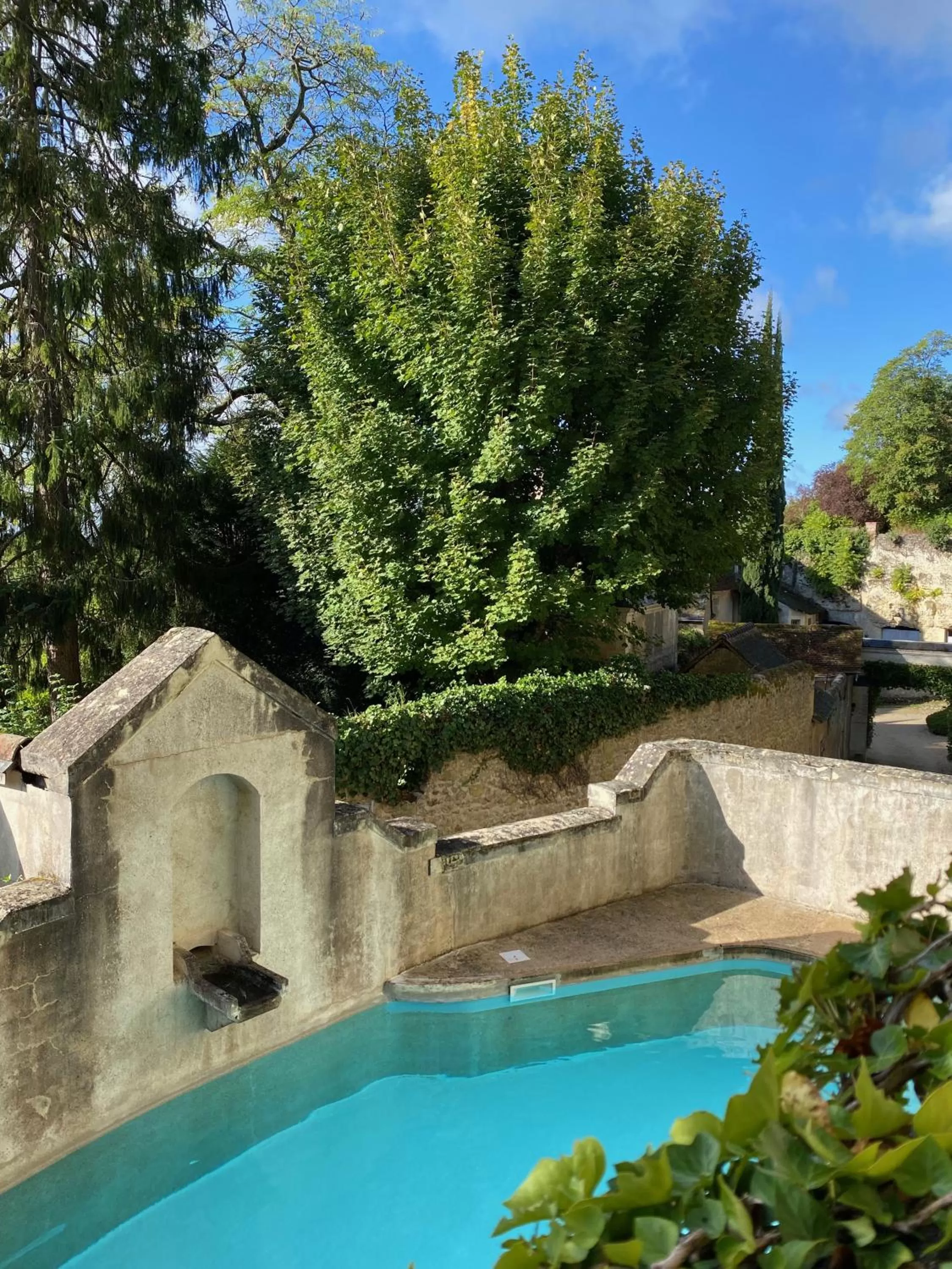 Swimming pool in Château de Nazelles Amboise