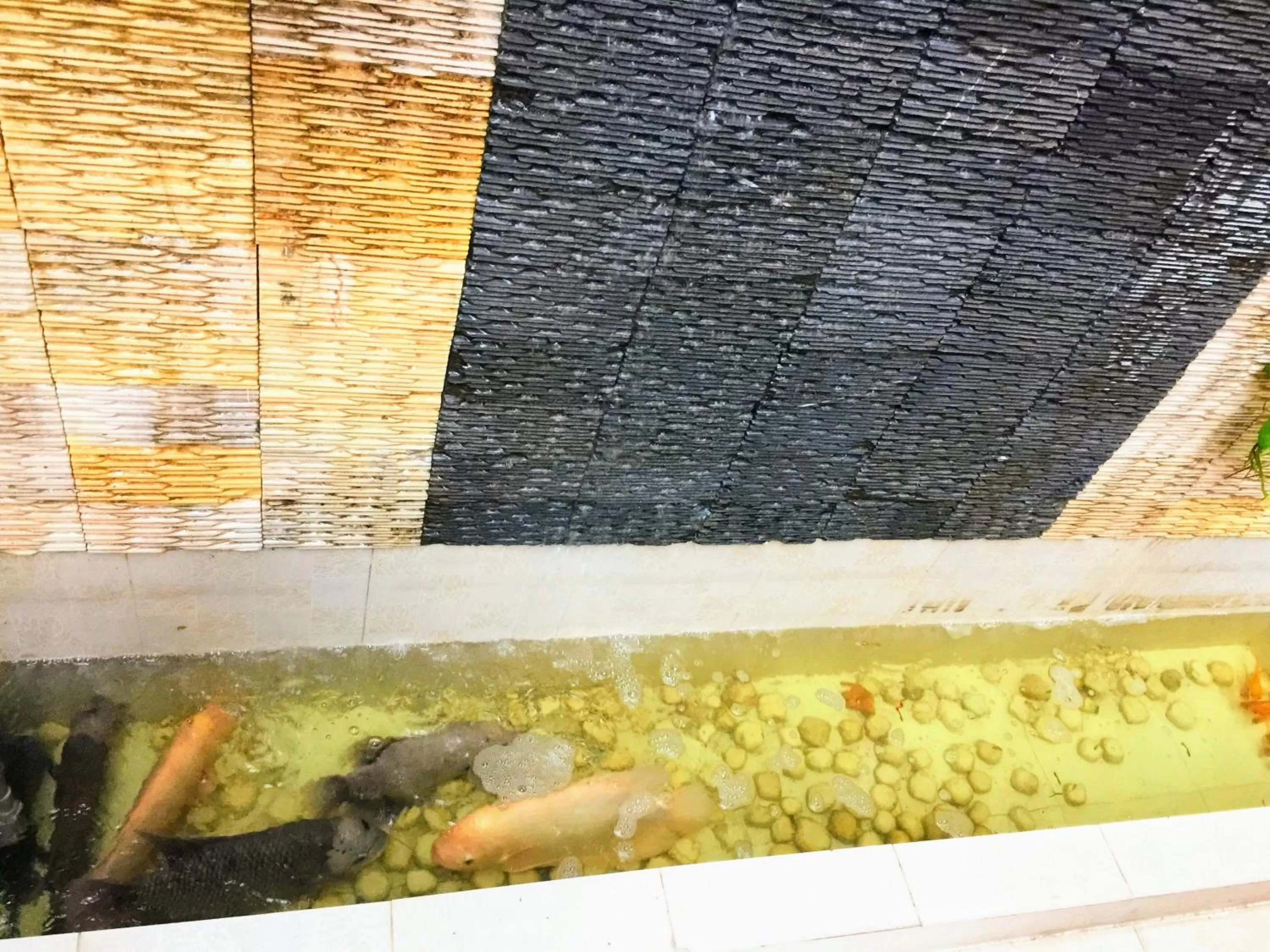 Property building in Na Nue Hotel