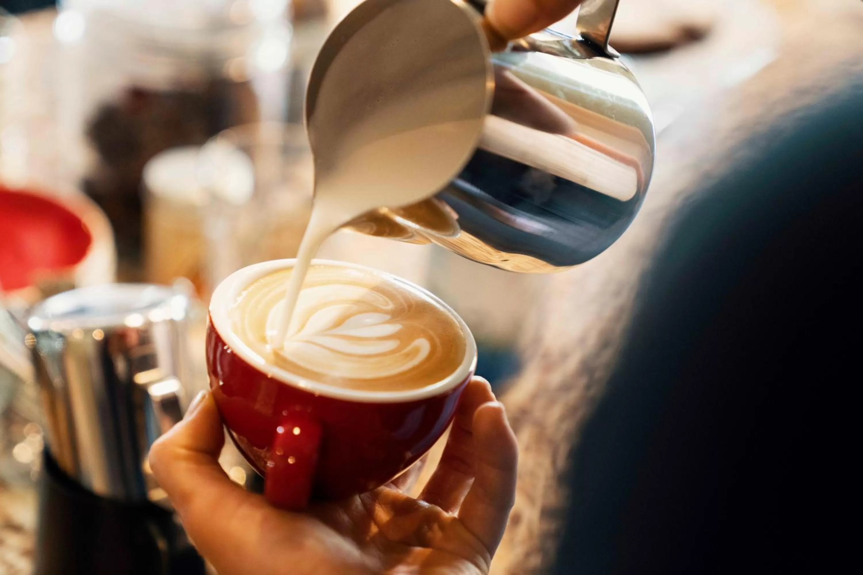 Restaurant/places to eat in Flem Mountain Lodge