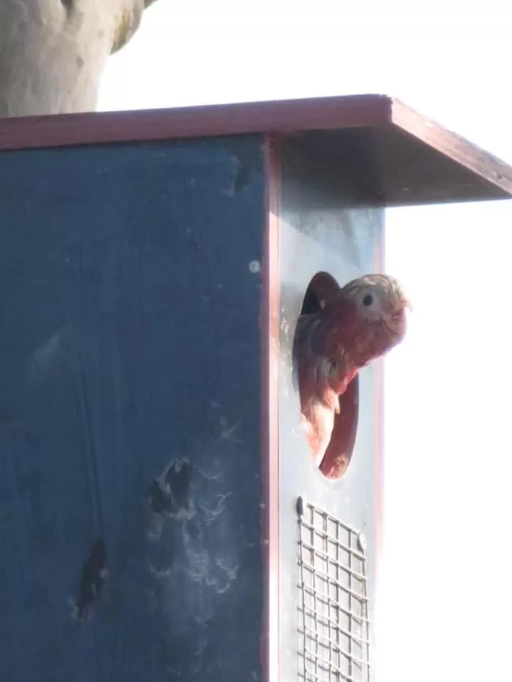 Other Animals in Mala Retreat Chardonnay Studio Immaculate and Comfortable