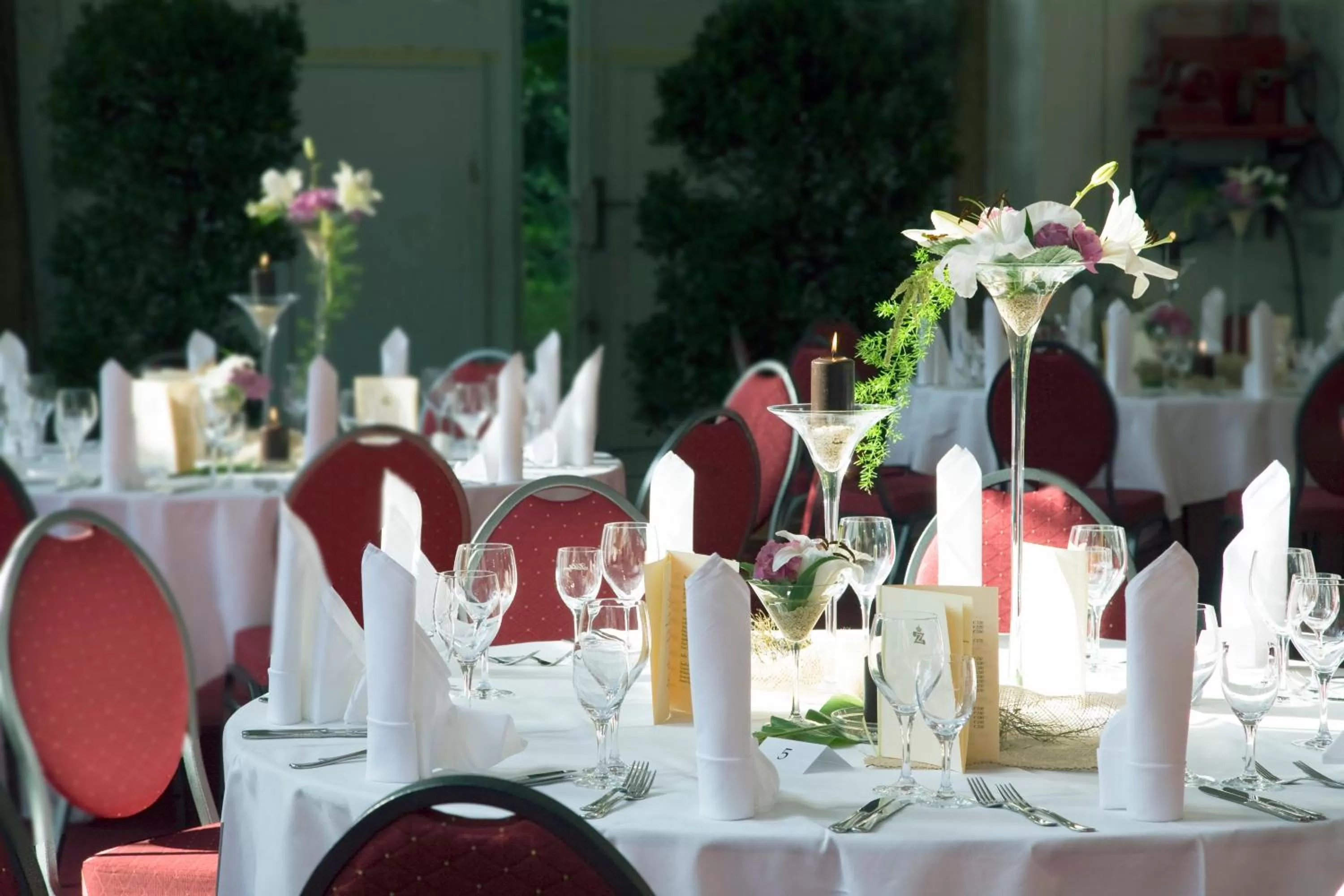 Area and facilities in Schloss Hotel Dresden Pillnitz