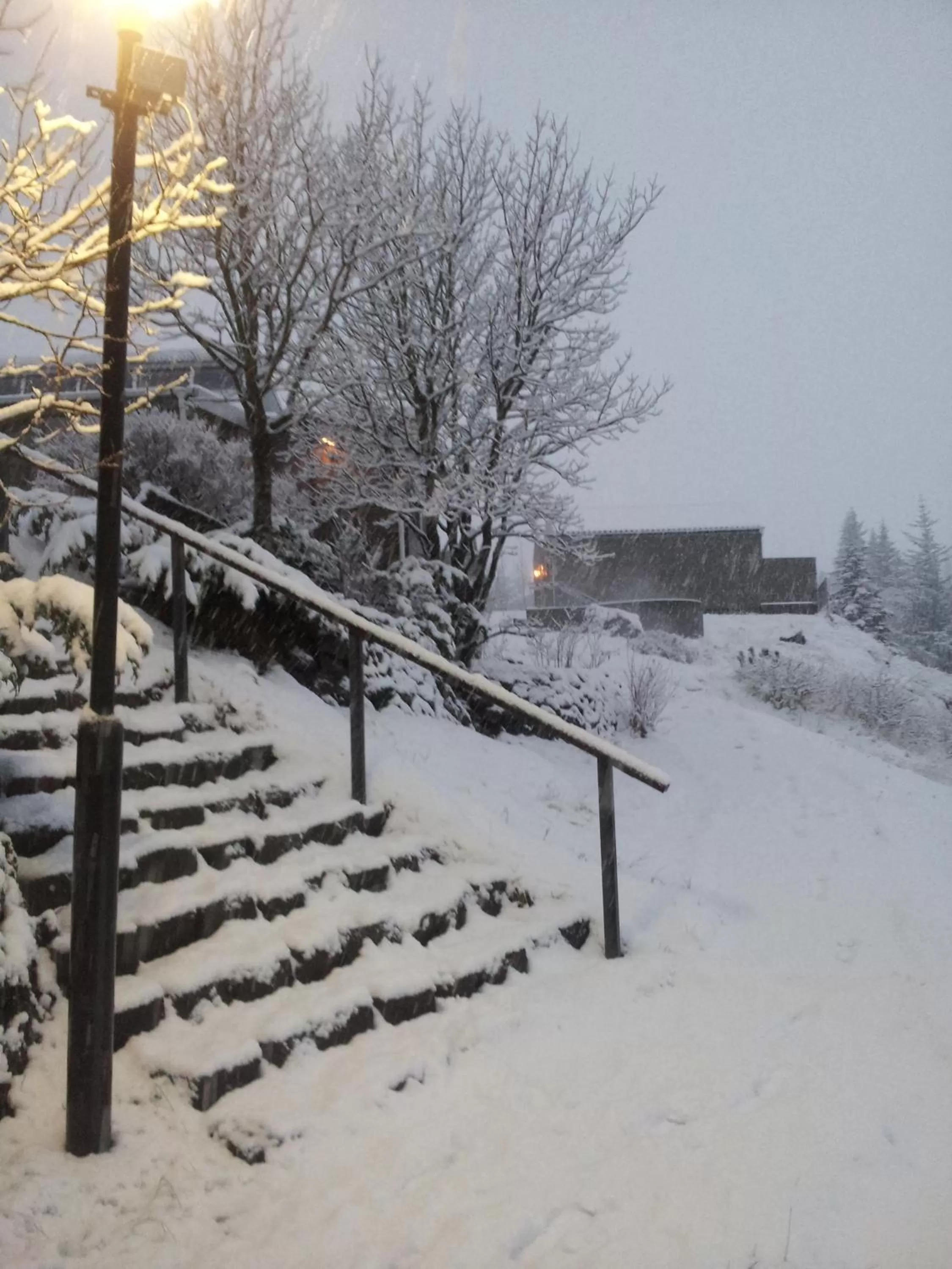 Area and facilities in Frost and Fire Hotel