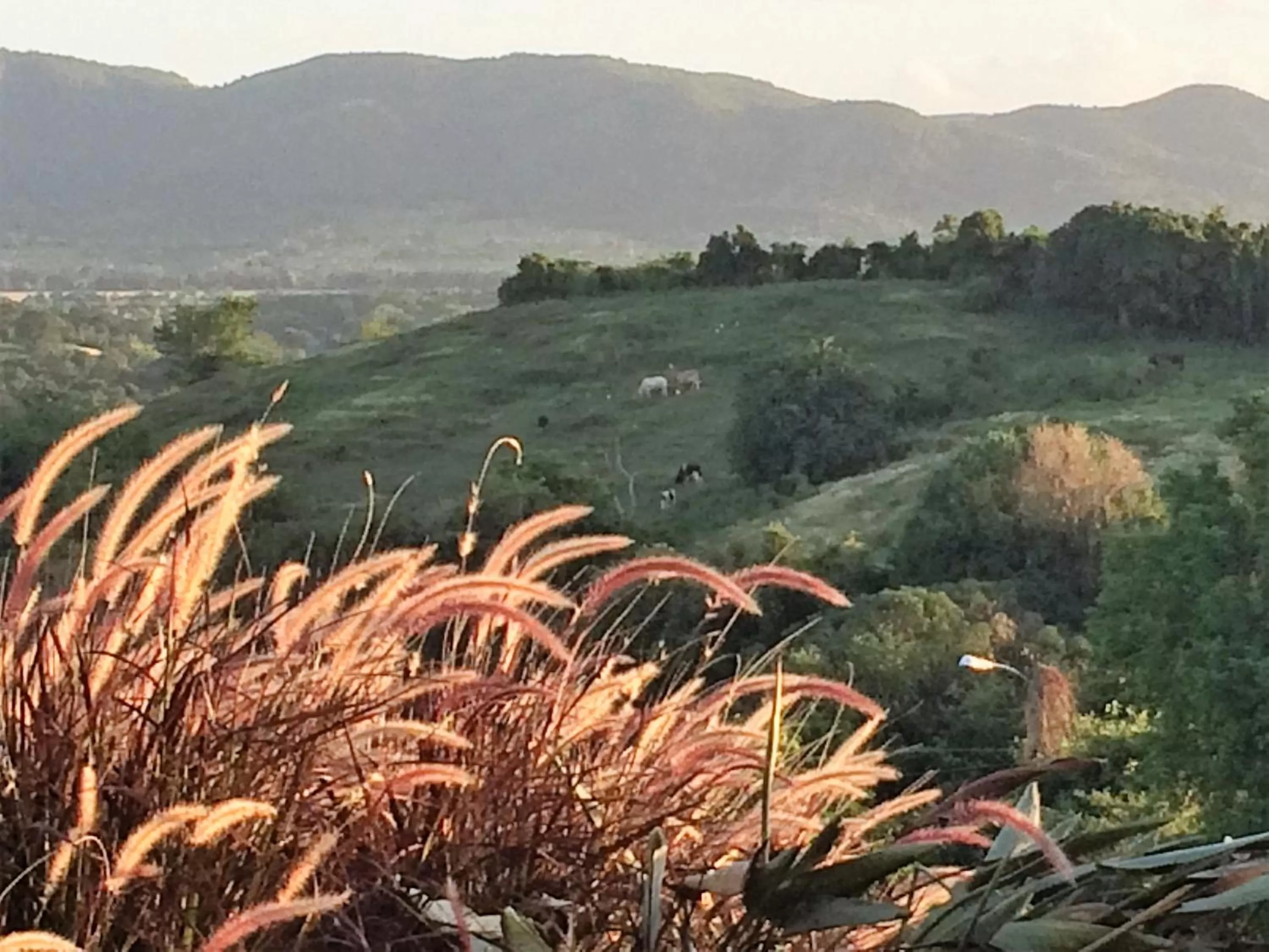 Natural Landscape in 4 Casitas