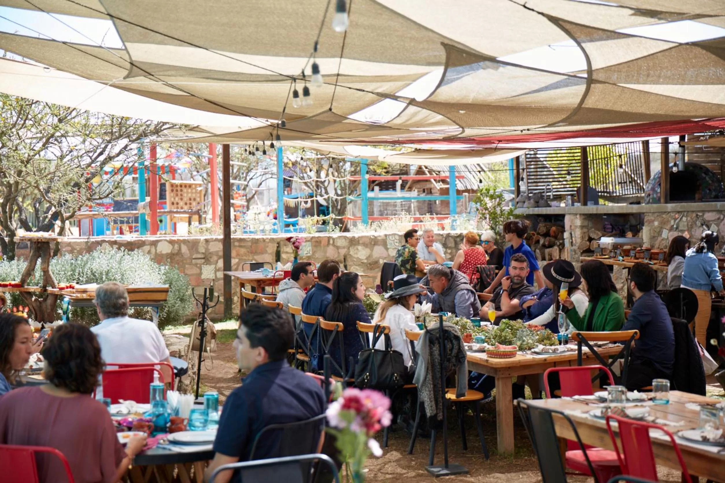 Restaurant/places to eat in Casa Pavo Real en el Viñedo El Pavo Real del Campo