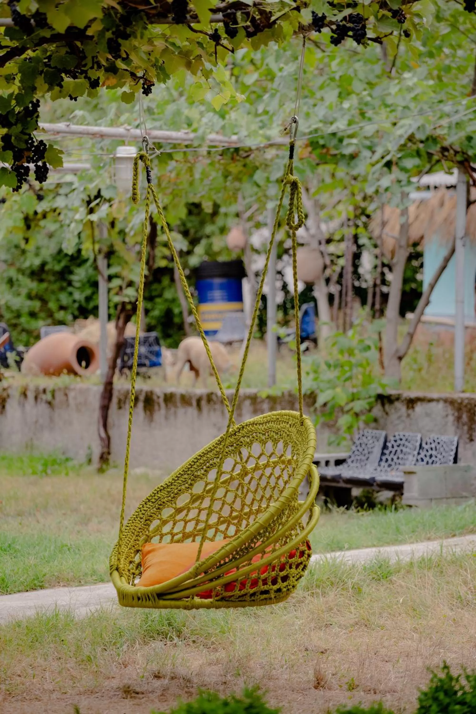 Children play ground in Qilimcha's Guesthouse