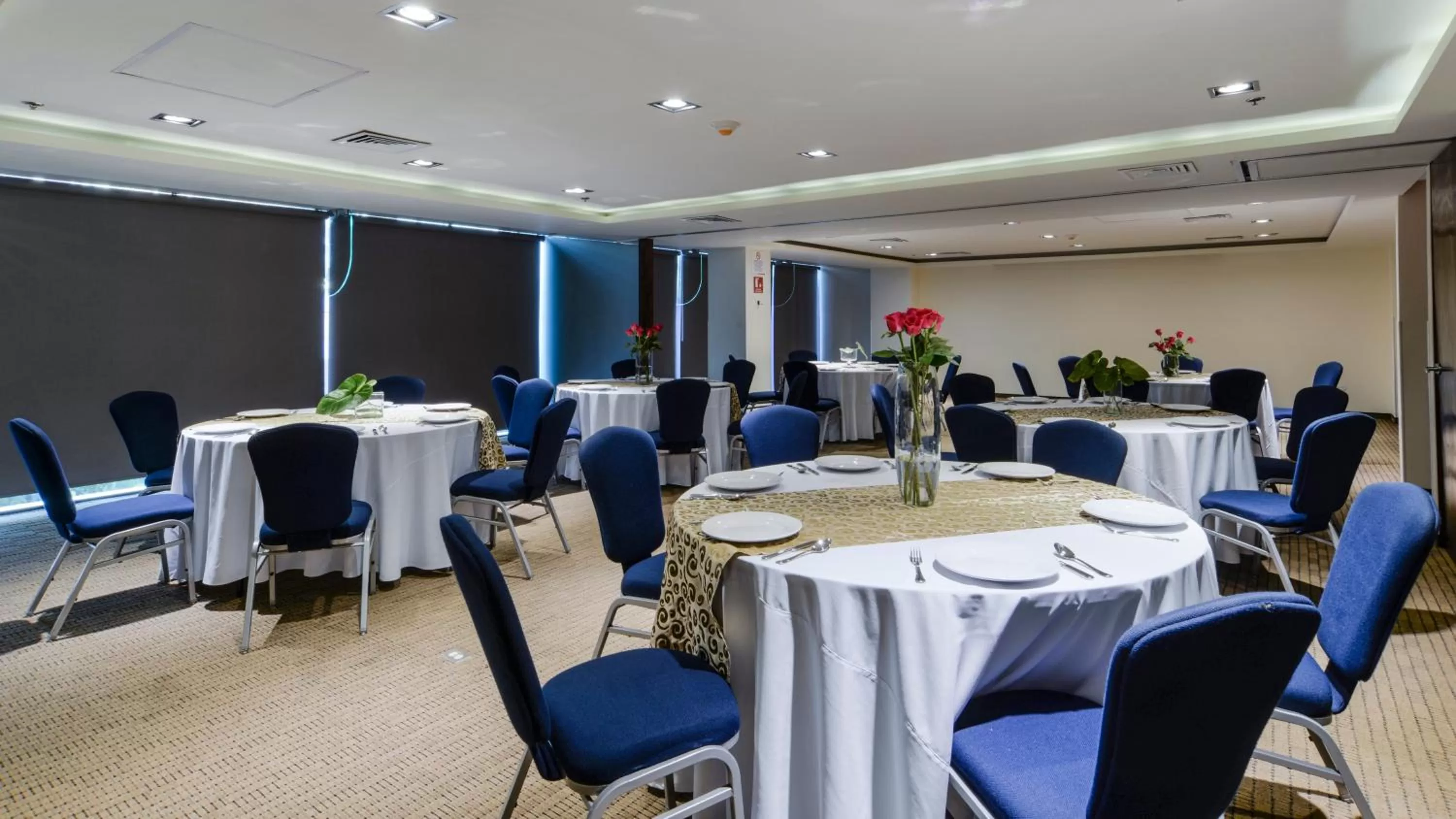 Banquet/Function facilities in Holiday Inn Express Culiacan by IHG