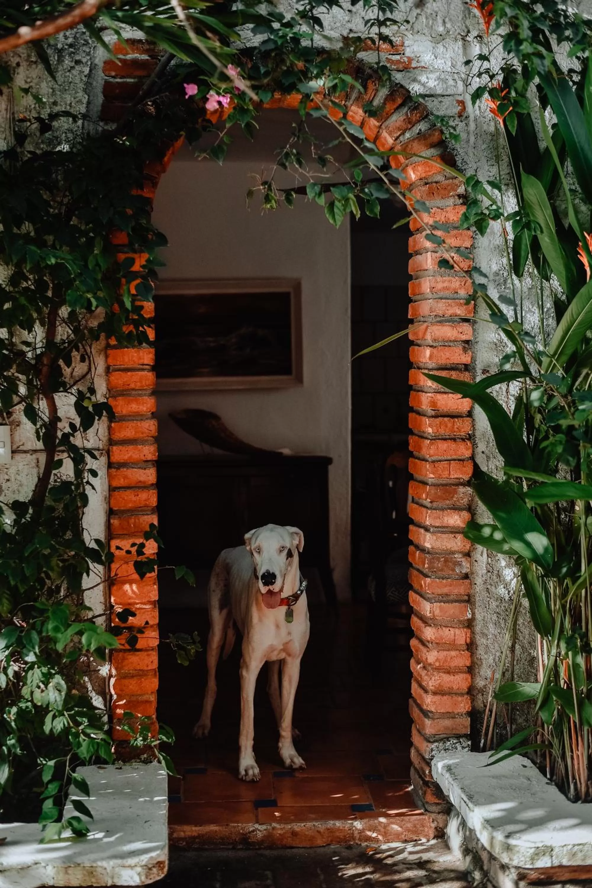 Hosteria Chata Adults Only