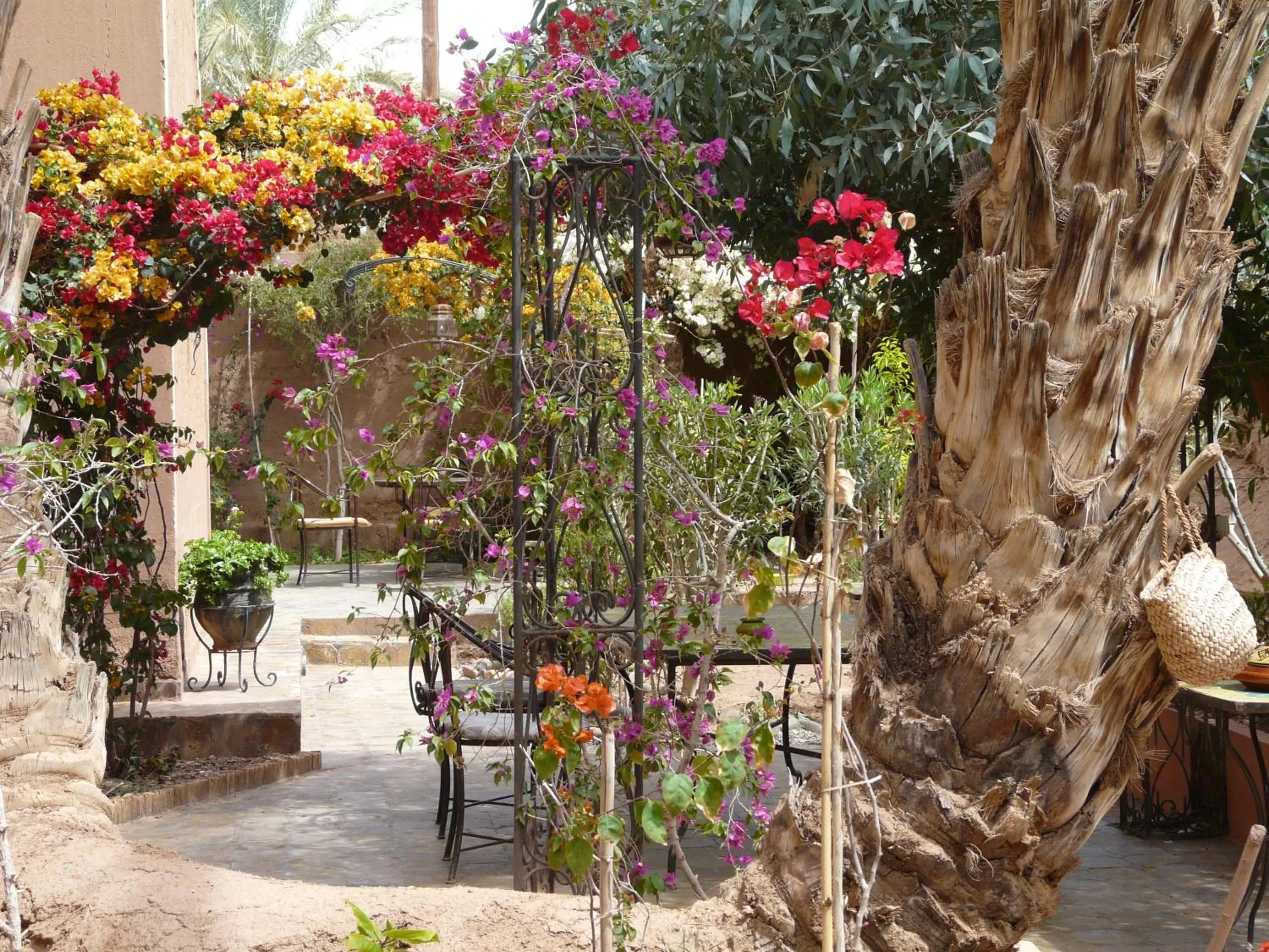 Garden in Dar Nakhla - Zagora guest house