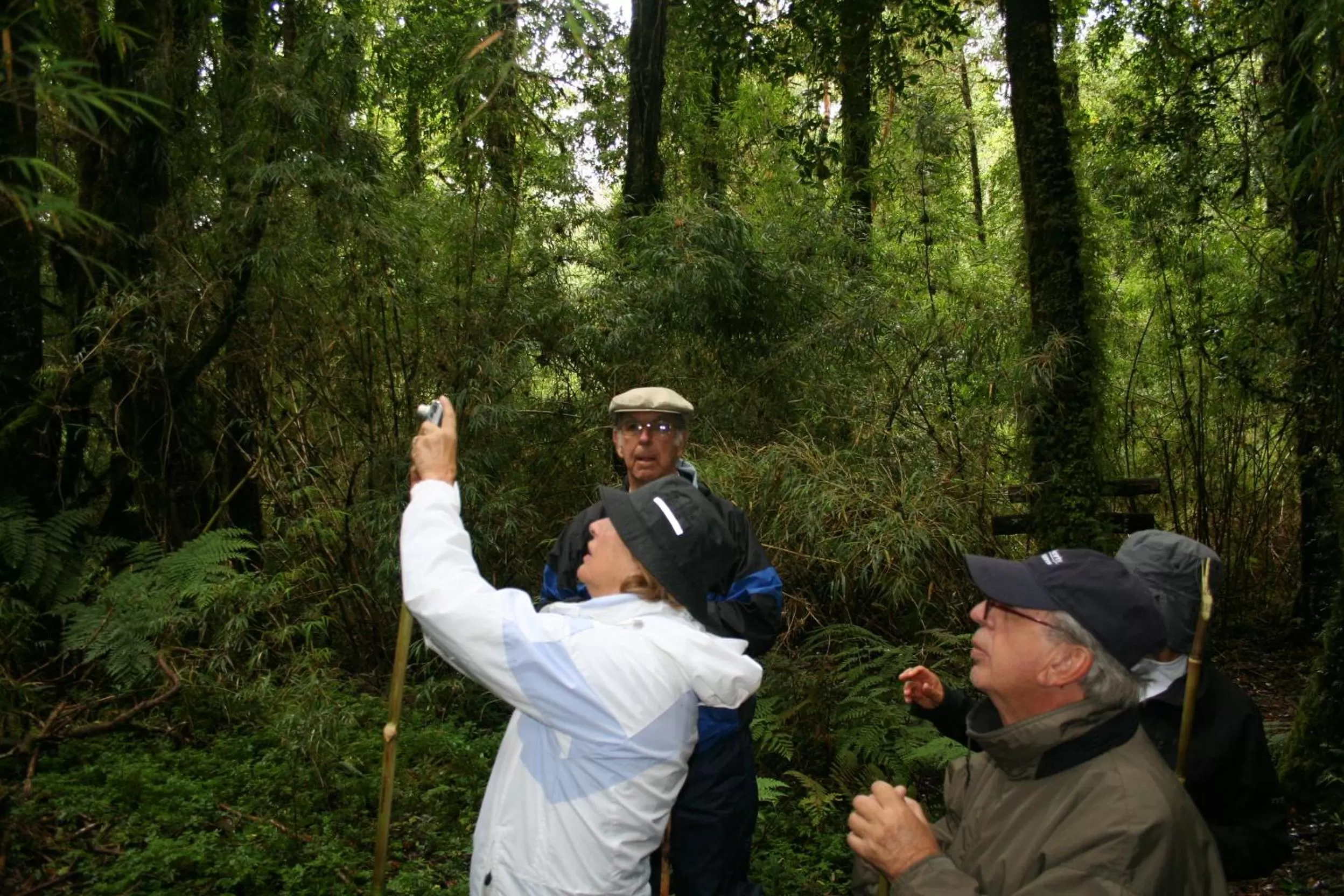 Hiking in Posada Queulat