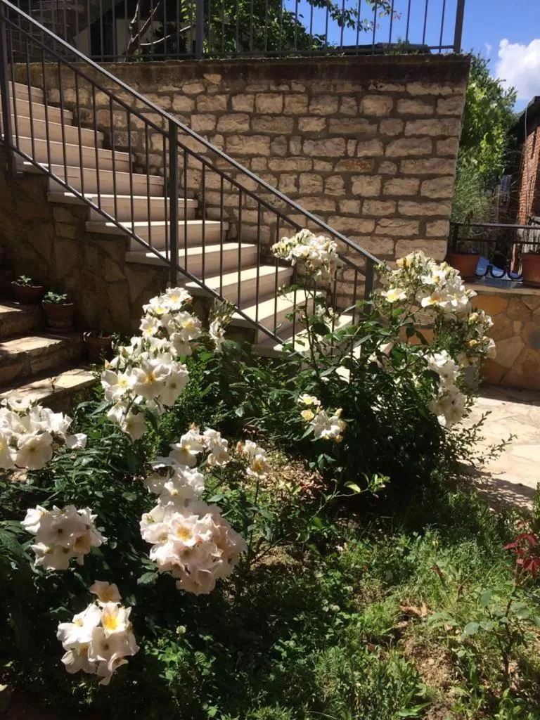 Garden in Guesthouse Villa Rosa Berat