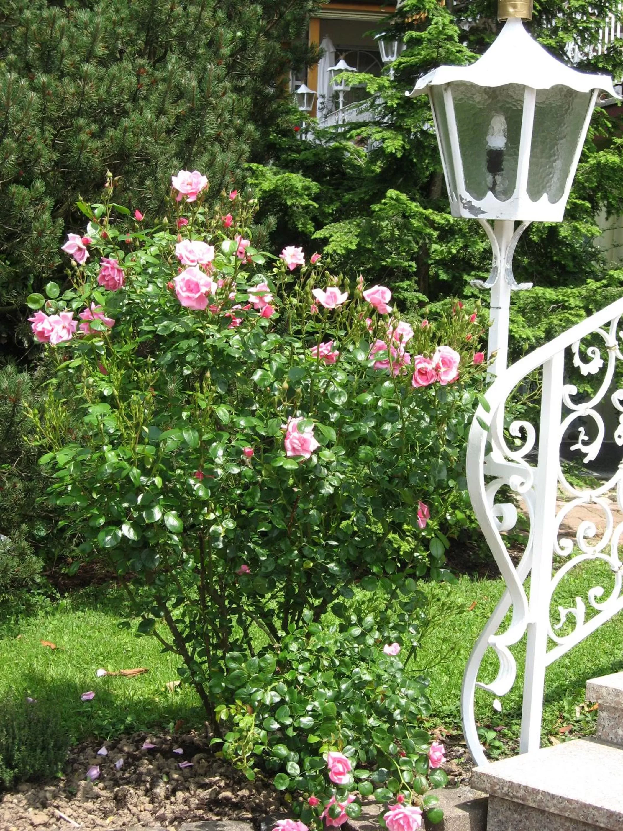 Facade/entrance in Silberkönig Schwarzwald Hotel & Restaurant Ringhotel