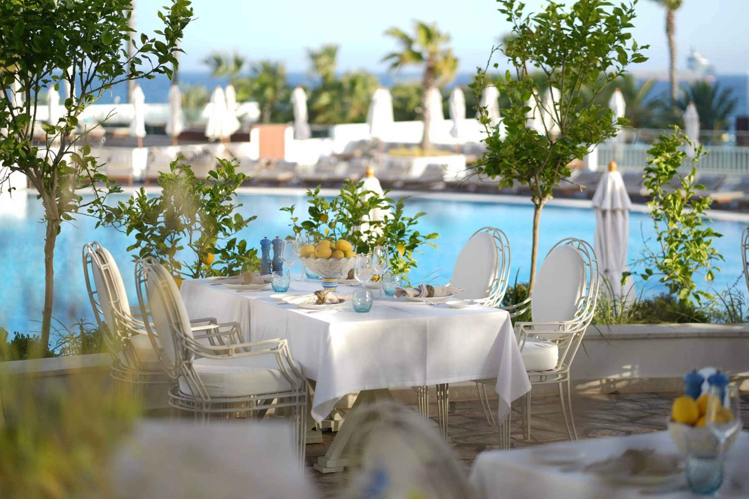 Restaurant/places to eat in Parklane, a Luxury Collection Resort & Spa, Limassol