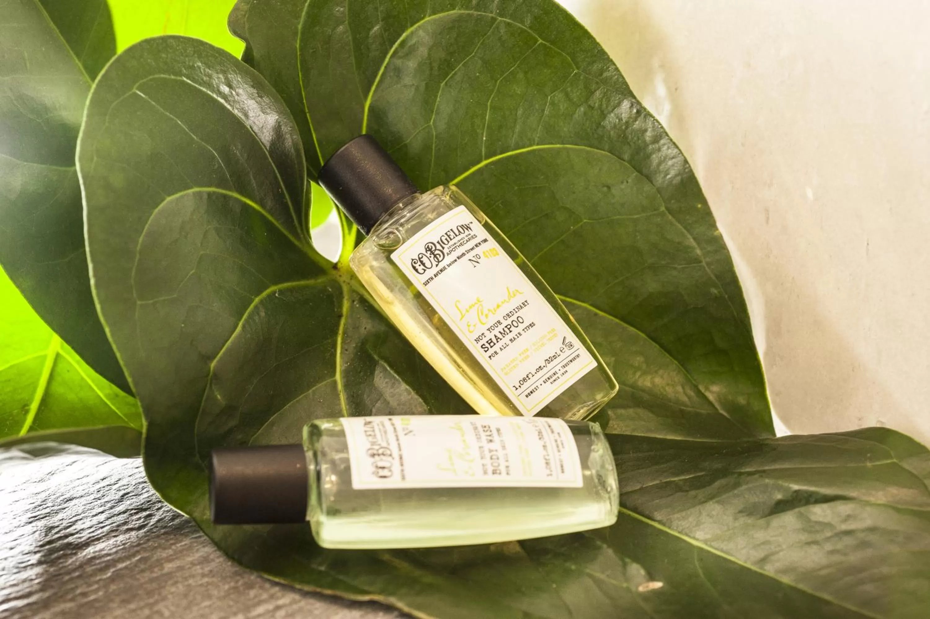 Decorative detail in Demetra Hotel