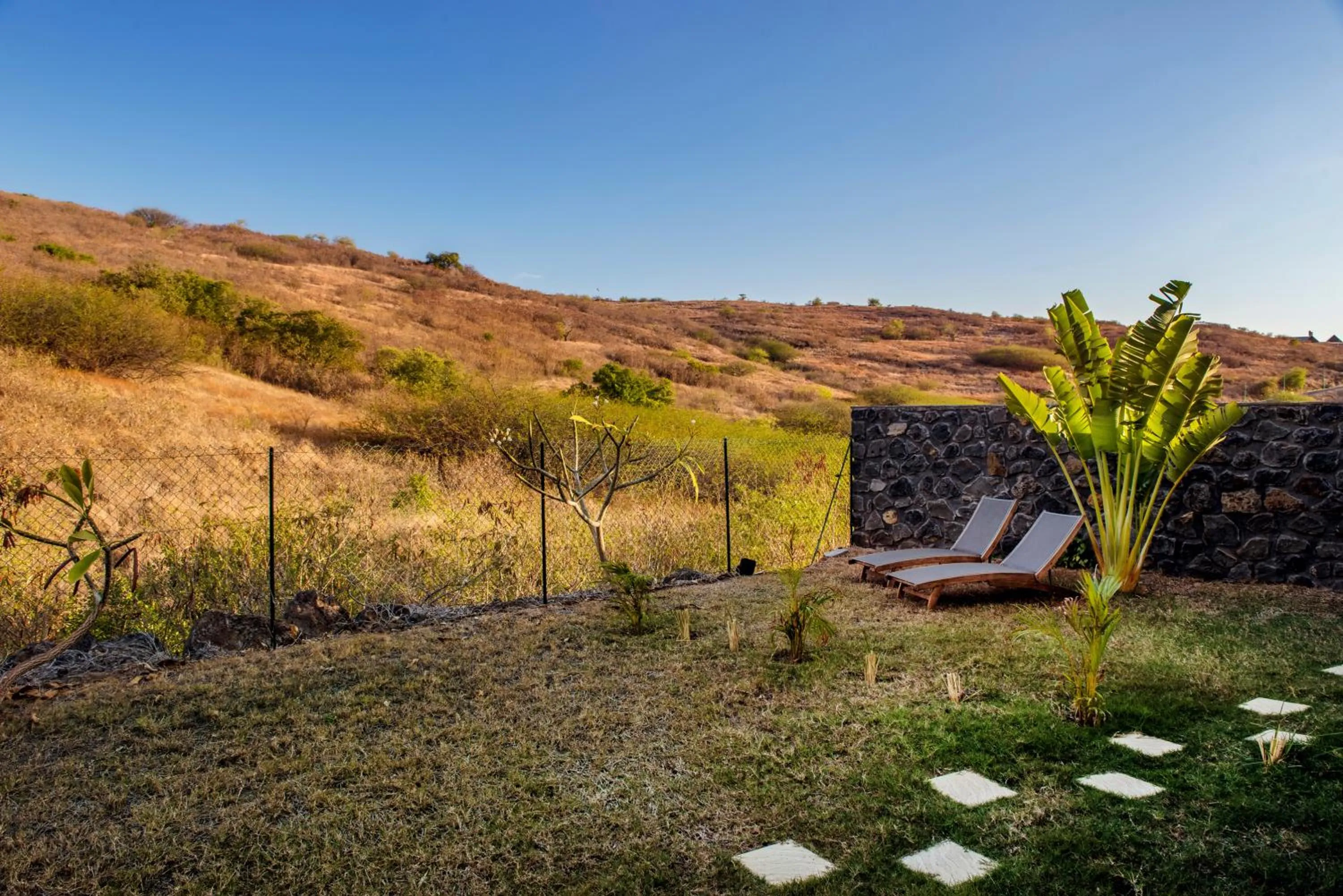 Garden in Tama Hotel