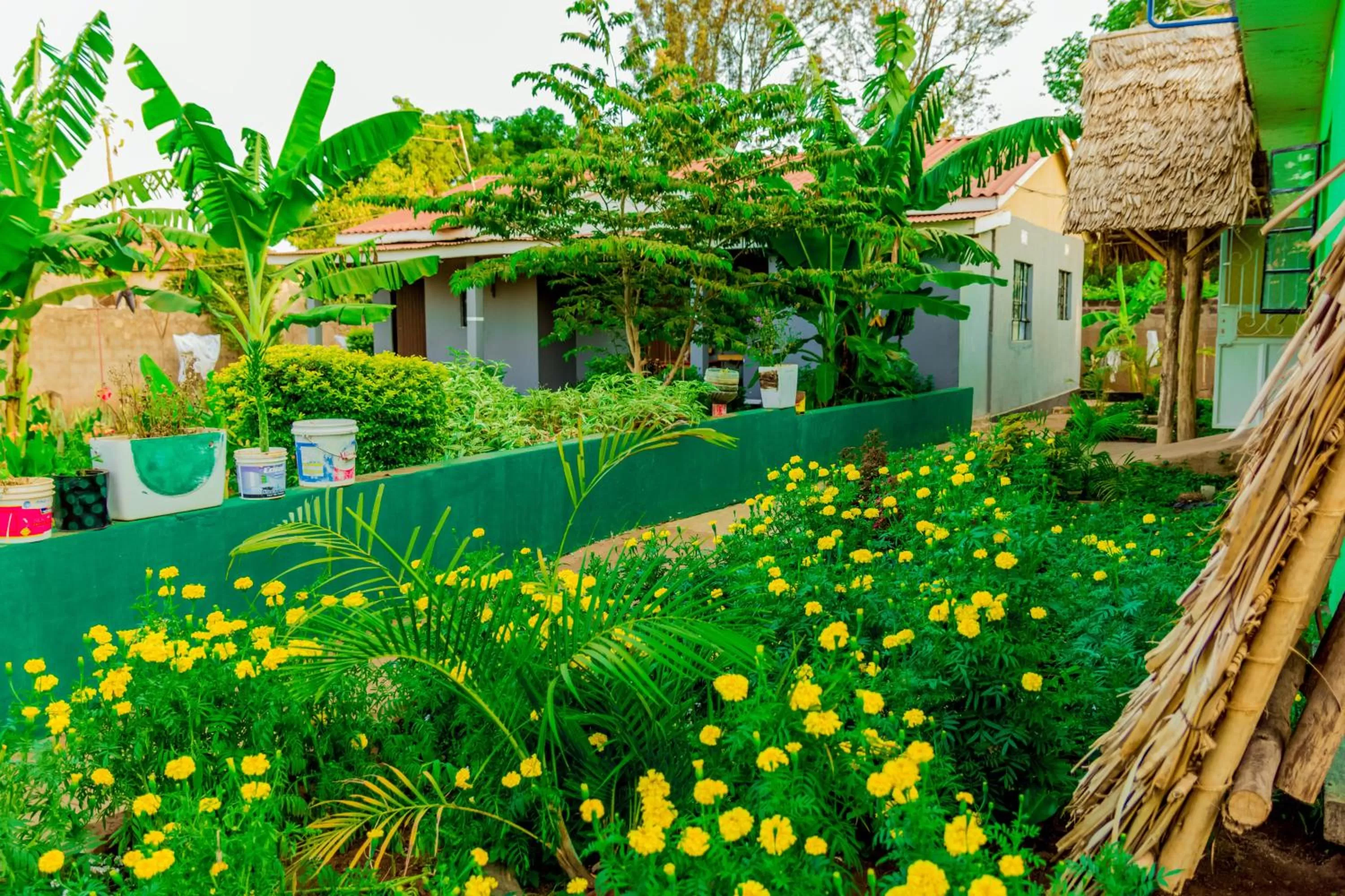 Garden in Royal Wonders Hotel