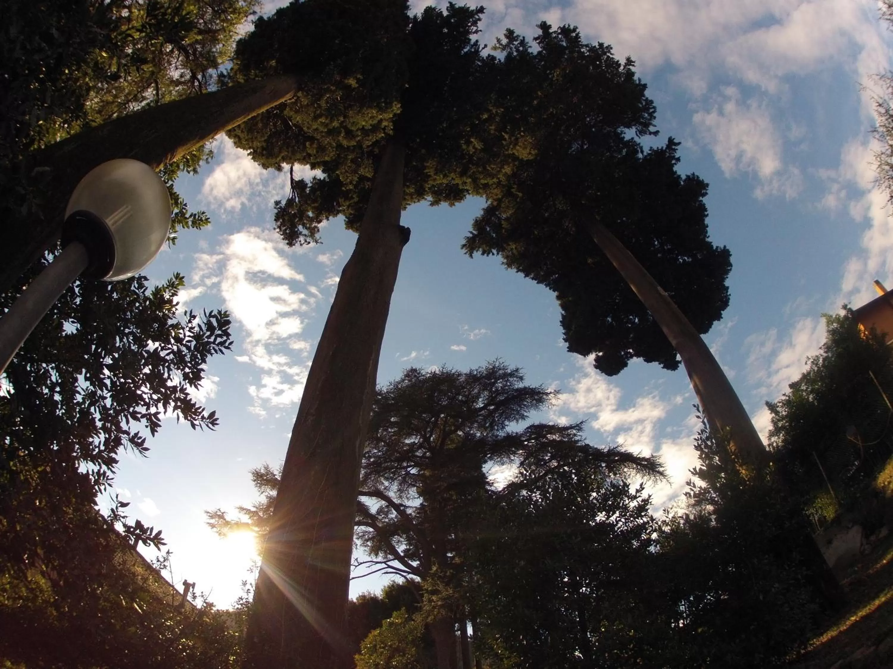 Garden in B&B Il Cedro