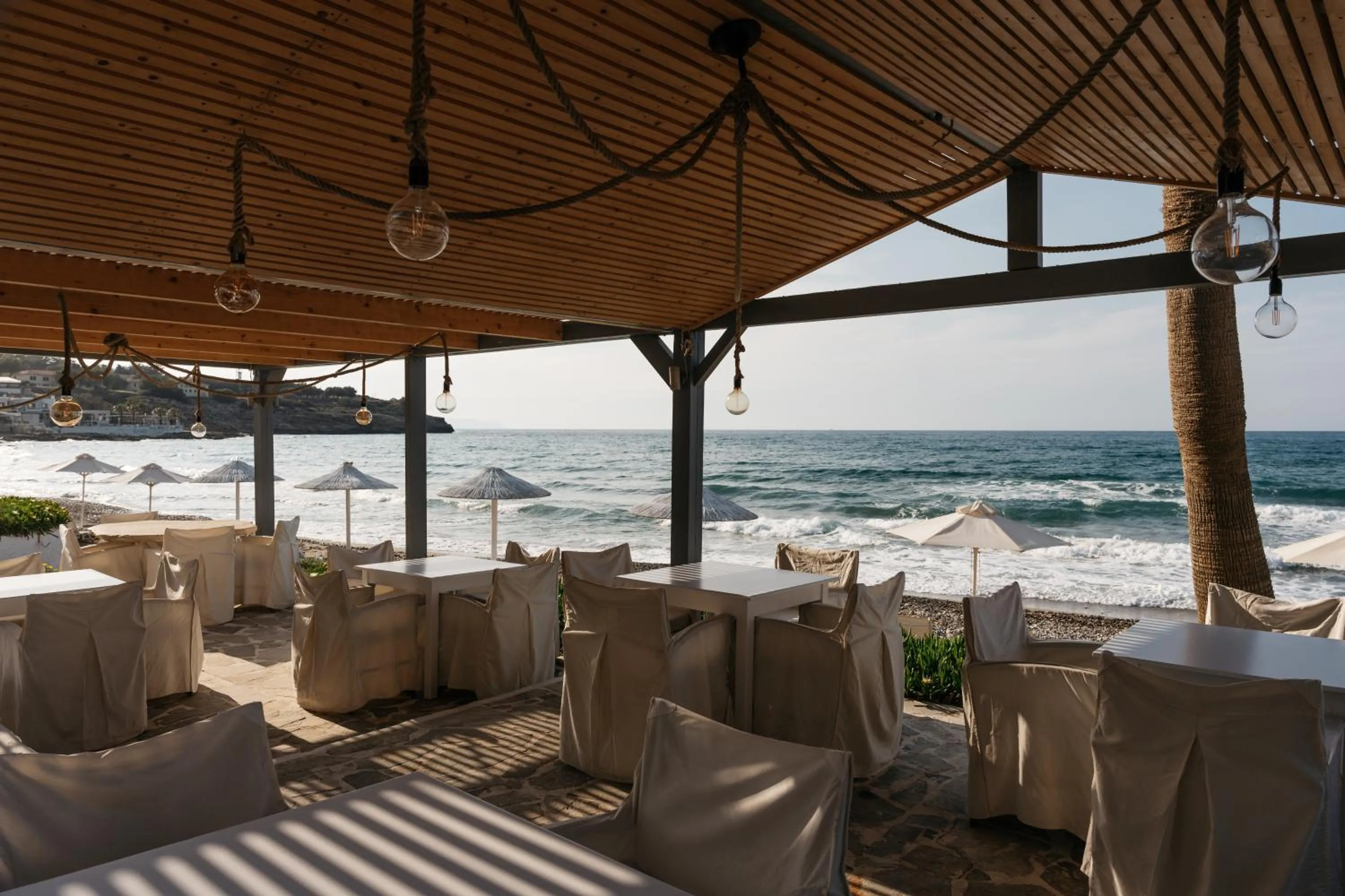 Restaurant/places to eat in Petradi Beach Lounge Hotel