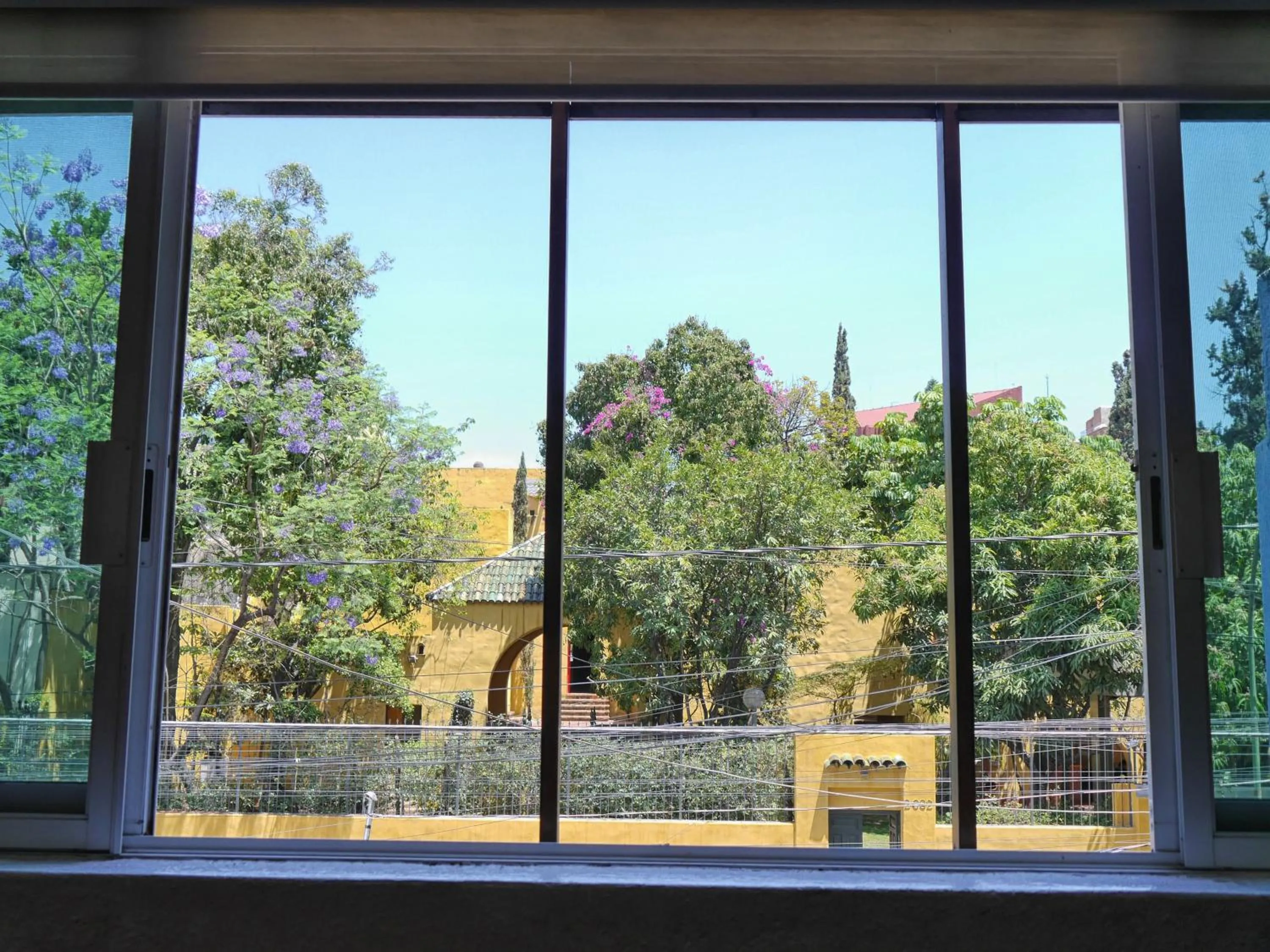 Street view in Hostel Hospedarte Chapultepec