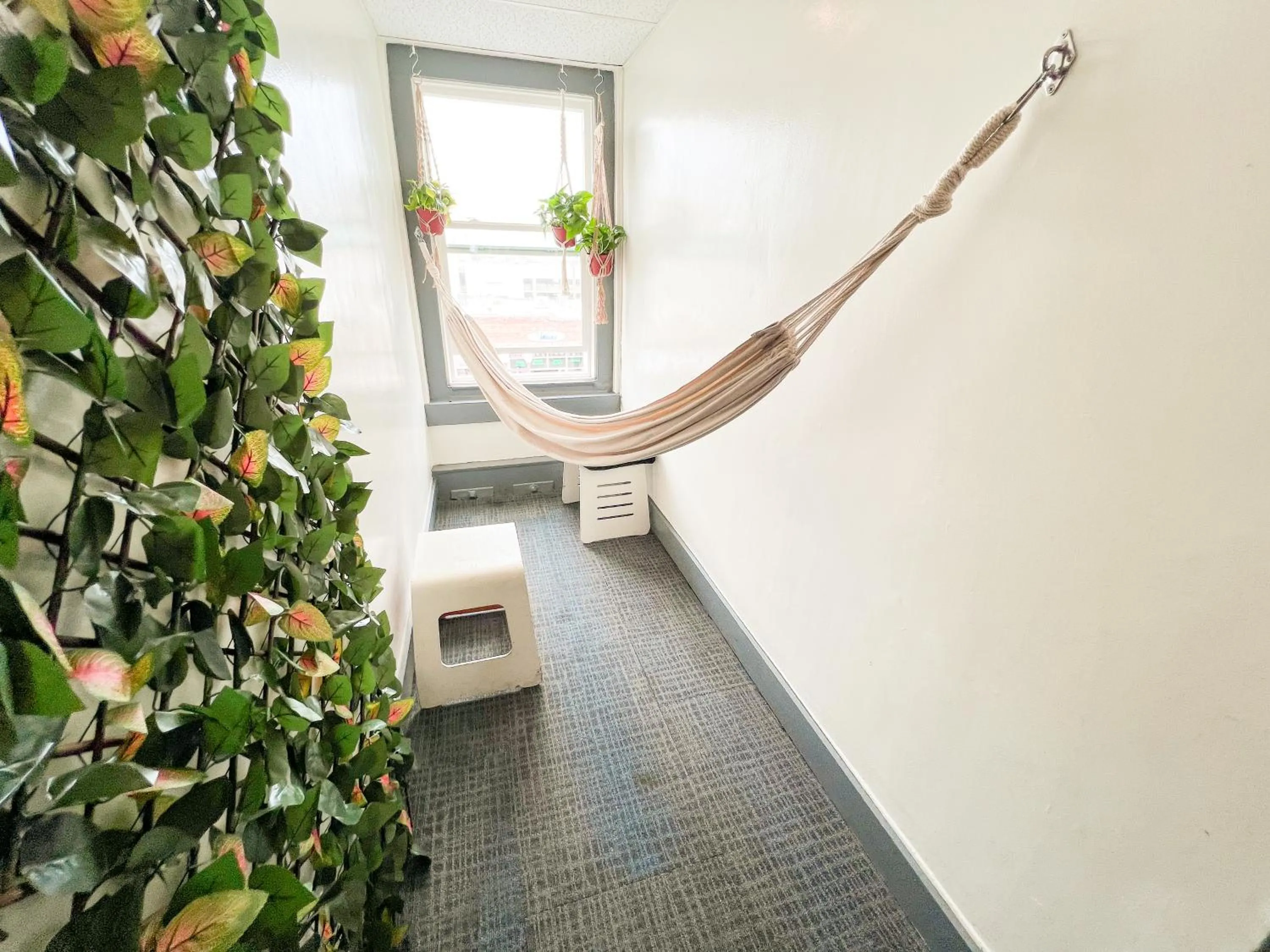 Communal lounge/ TV room in ITH Surf City Hostel Hermosa Beach