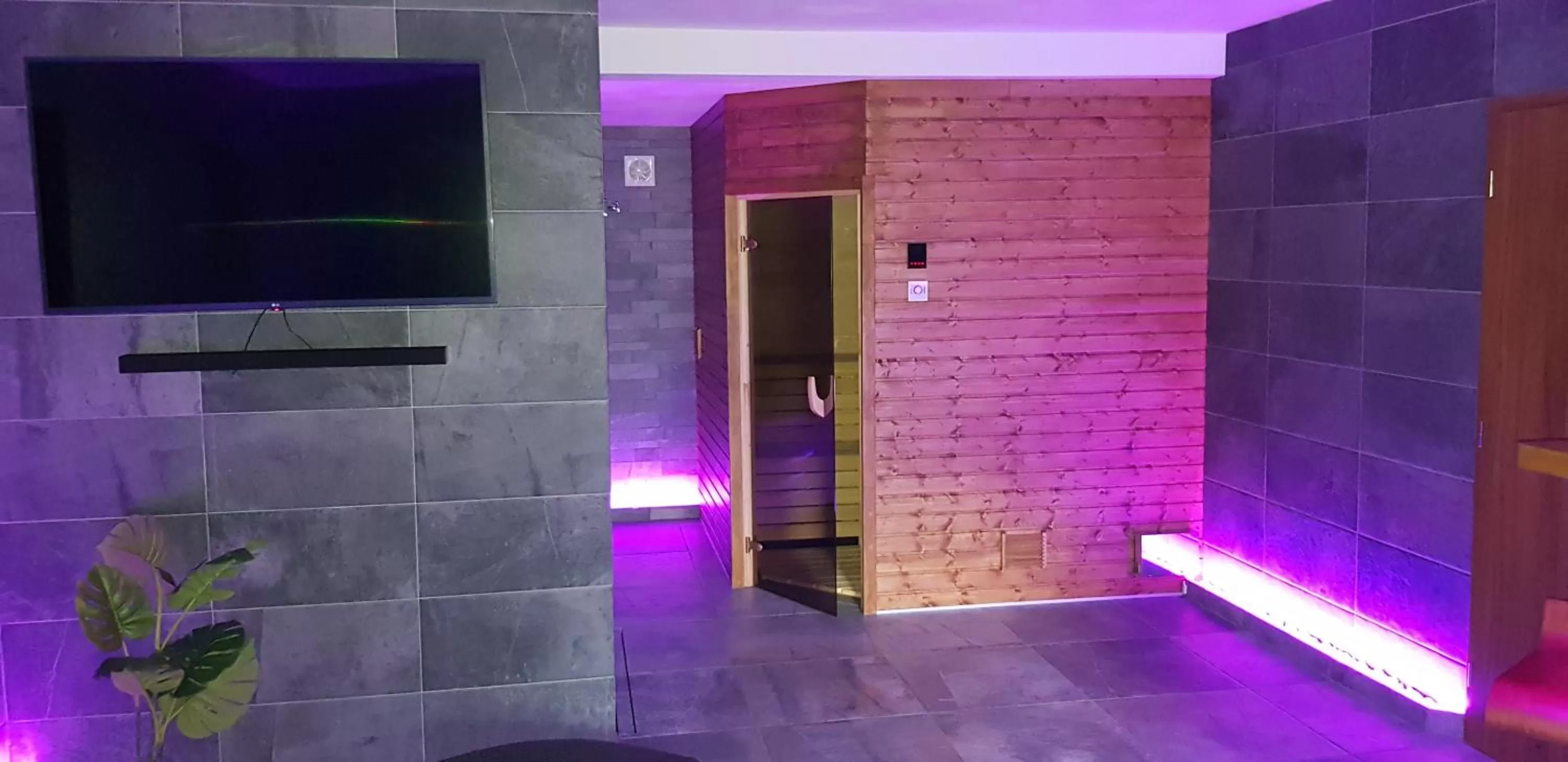 Sauna, Bathroom in Apartmány Meandry