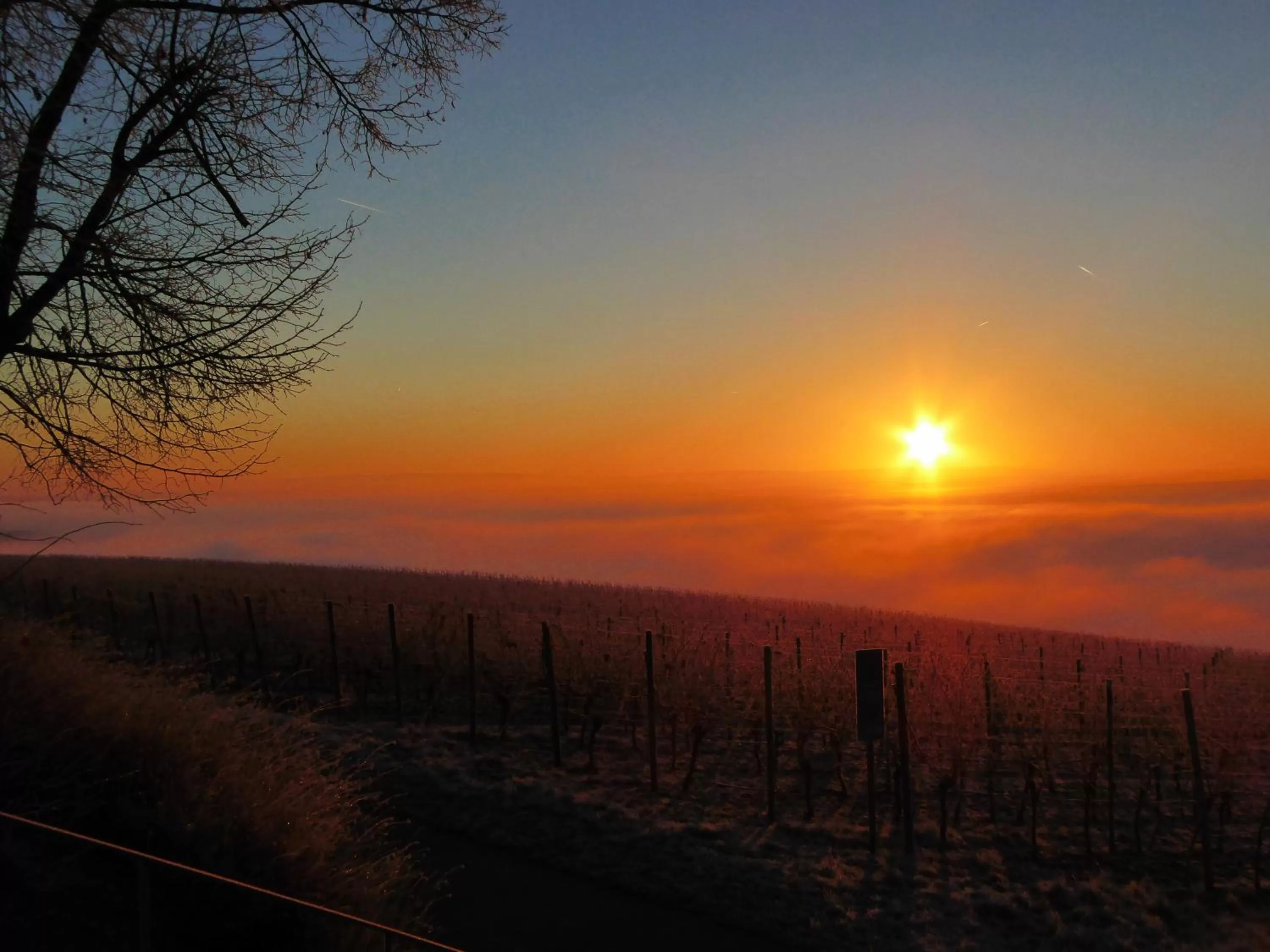 Natural landscape in Hotel am Torturm