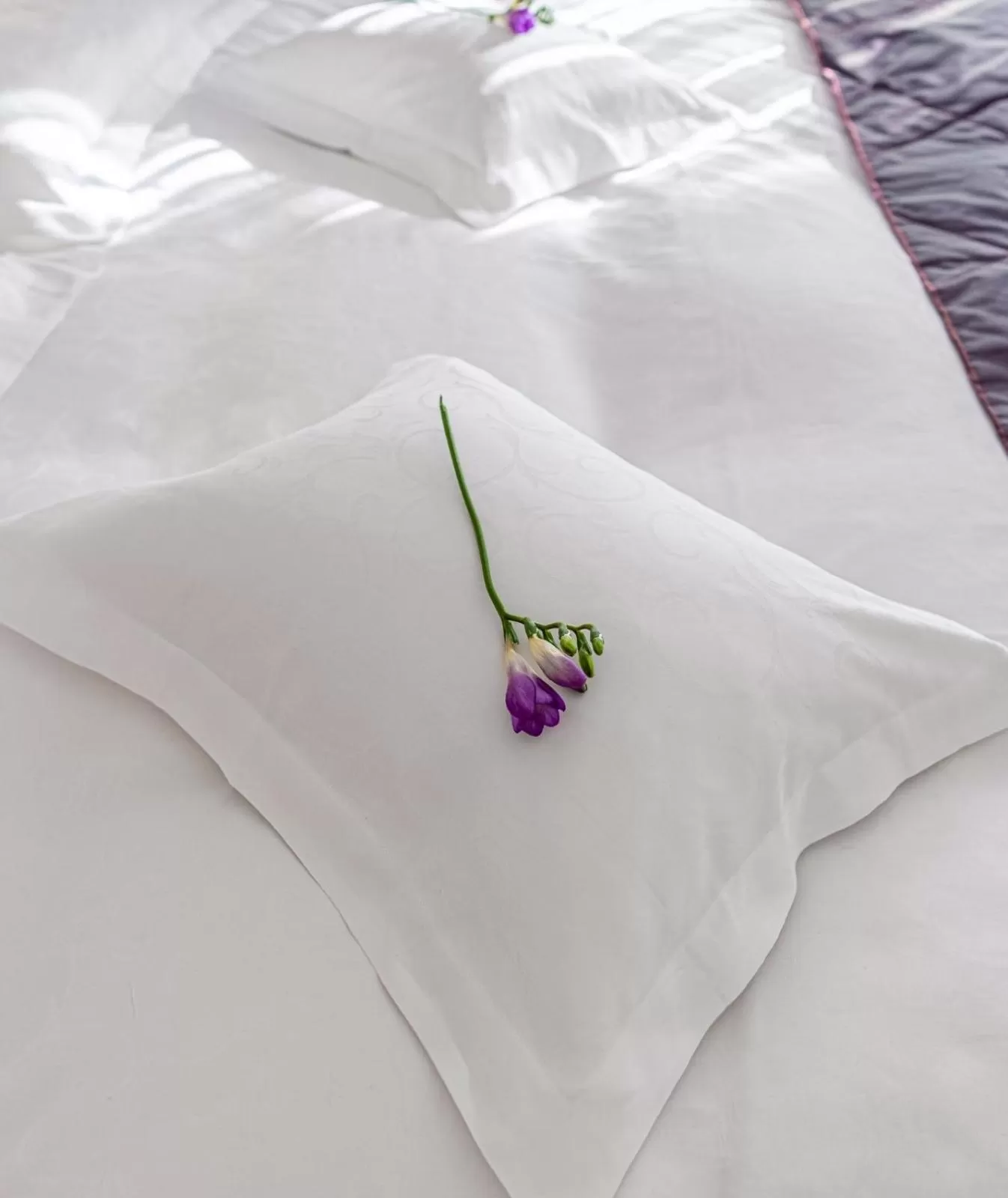 Bed in Hotel Miruna - New Belvedere